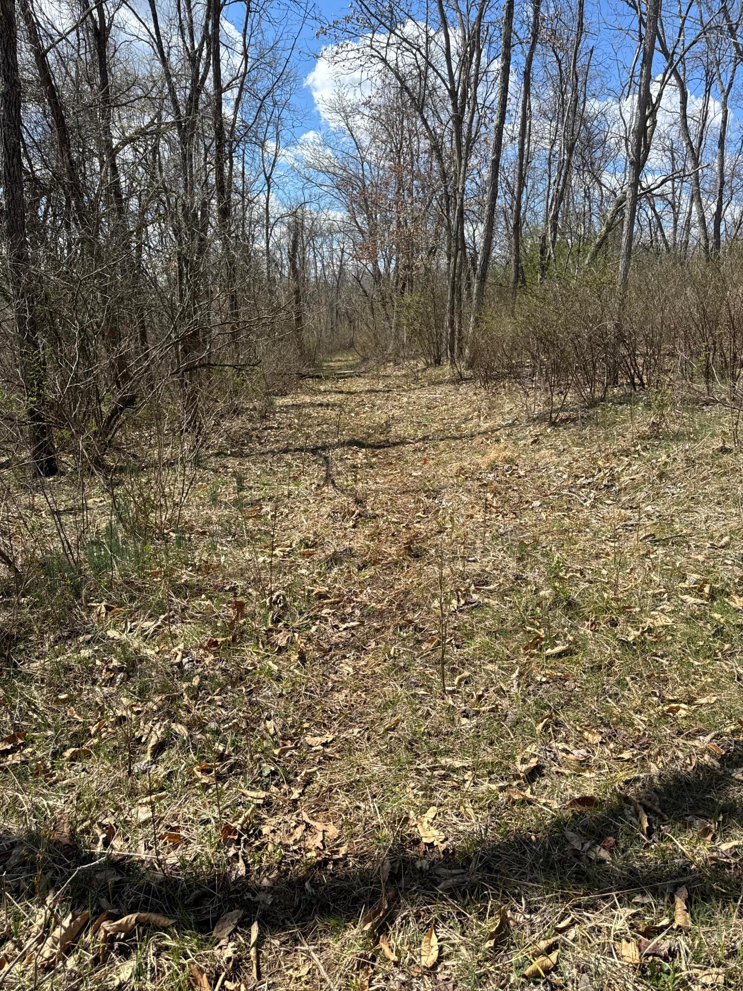Left Fork Road, Bidwell, Ohio image 25