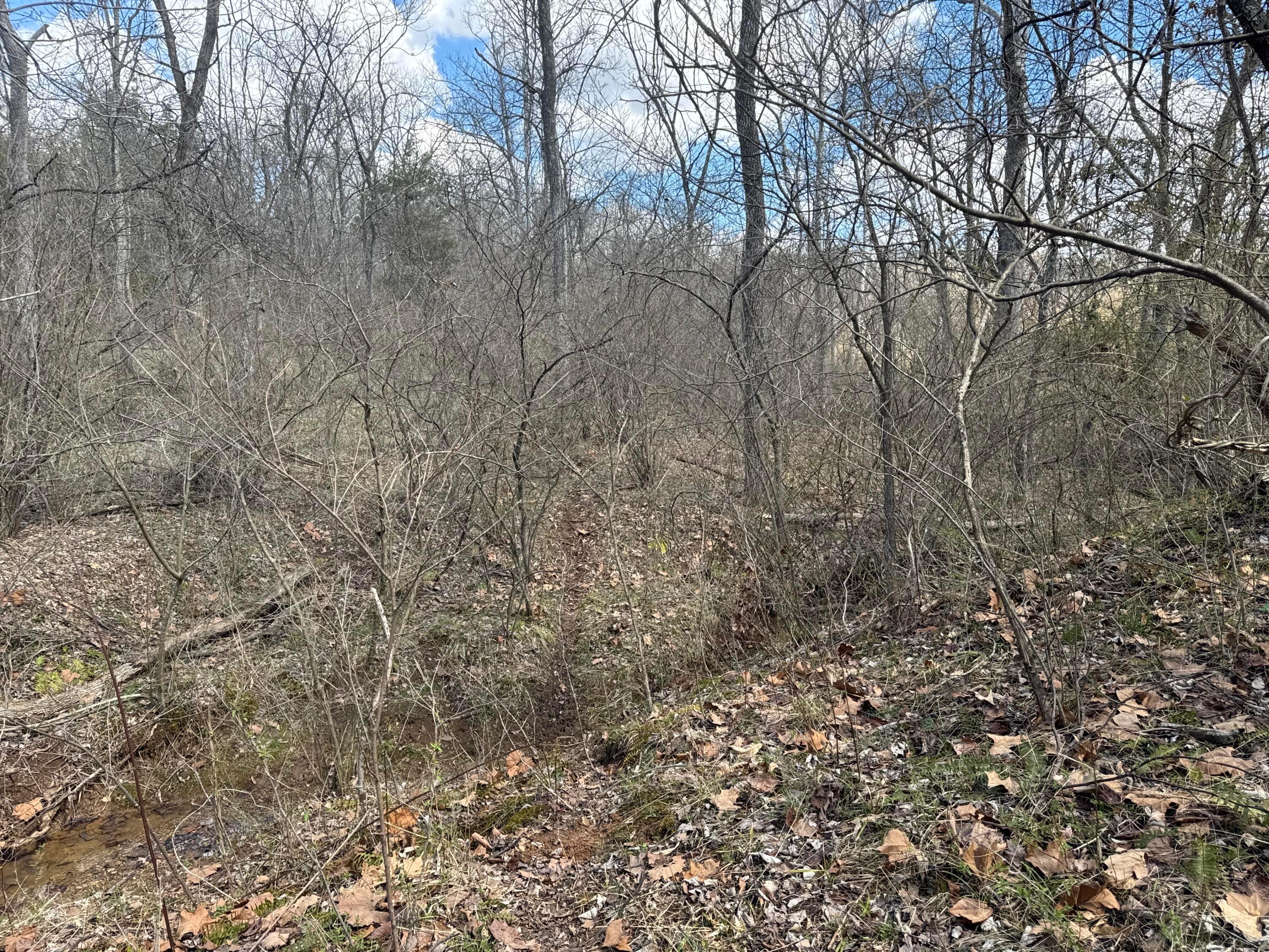 Left Fork Road, Bidwell, Ohio image 6