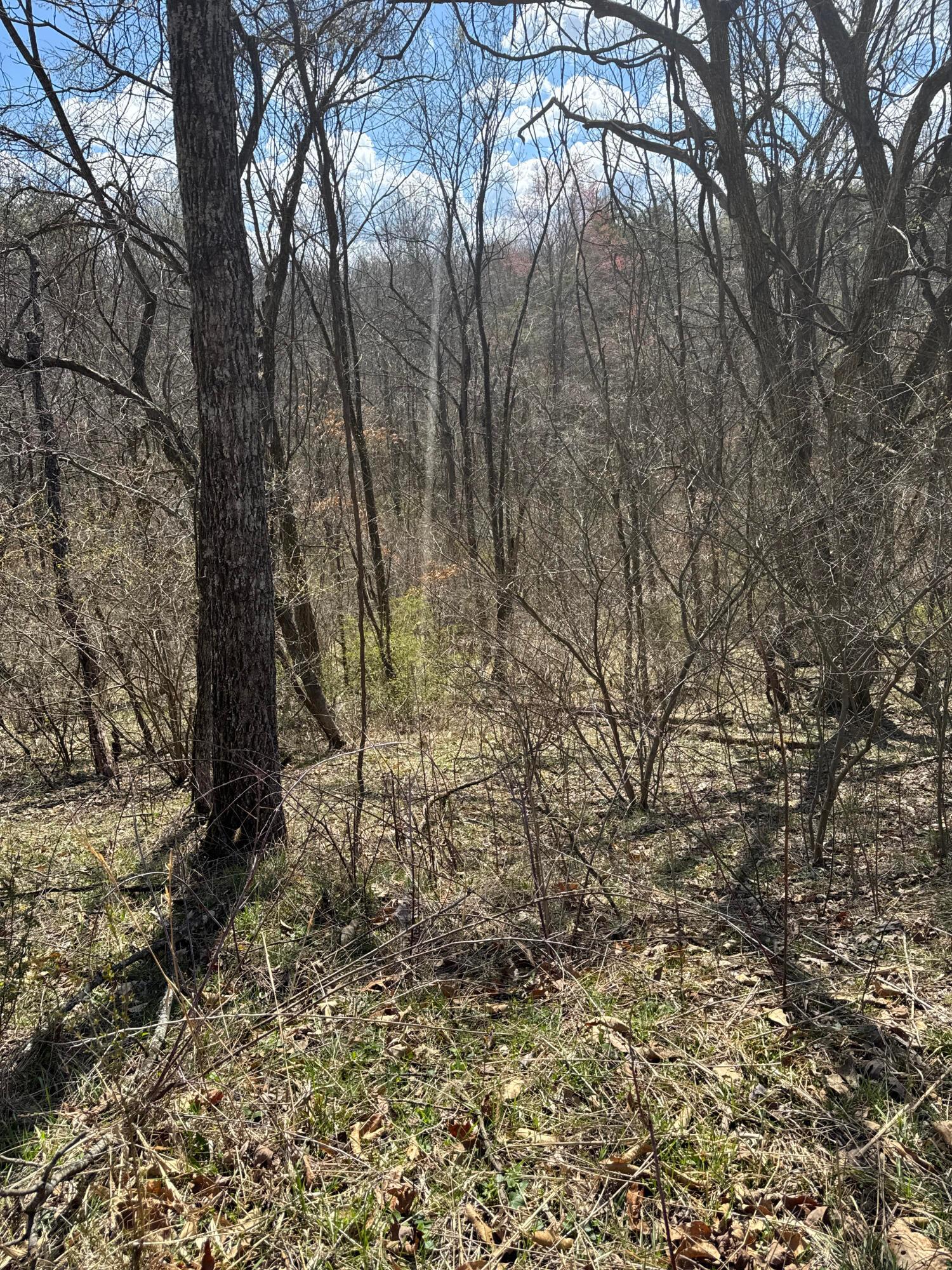 Left Fork Road, Bidwell, Ohio image 36