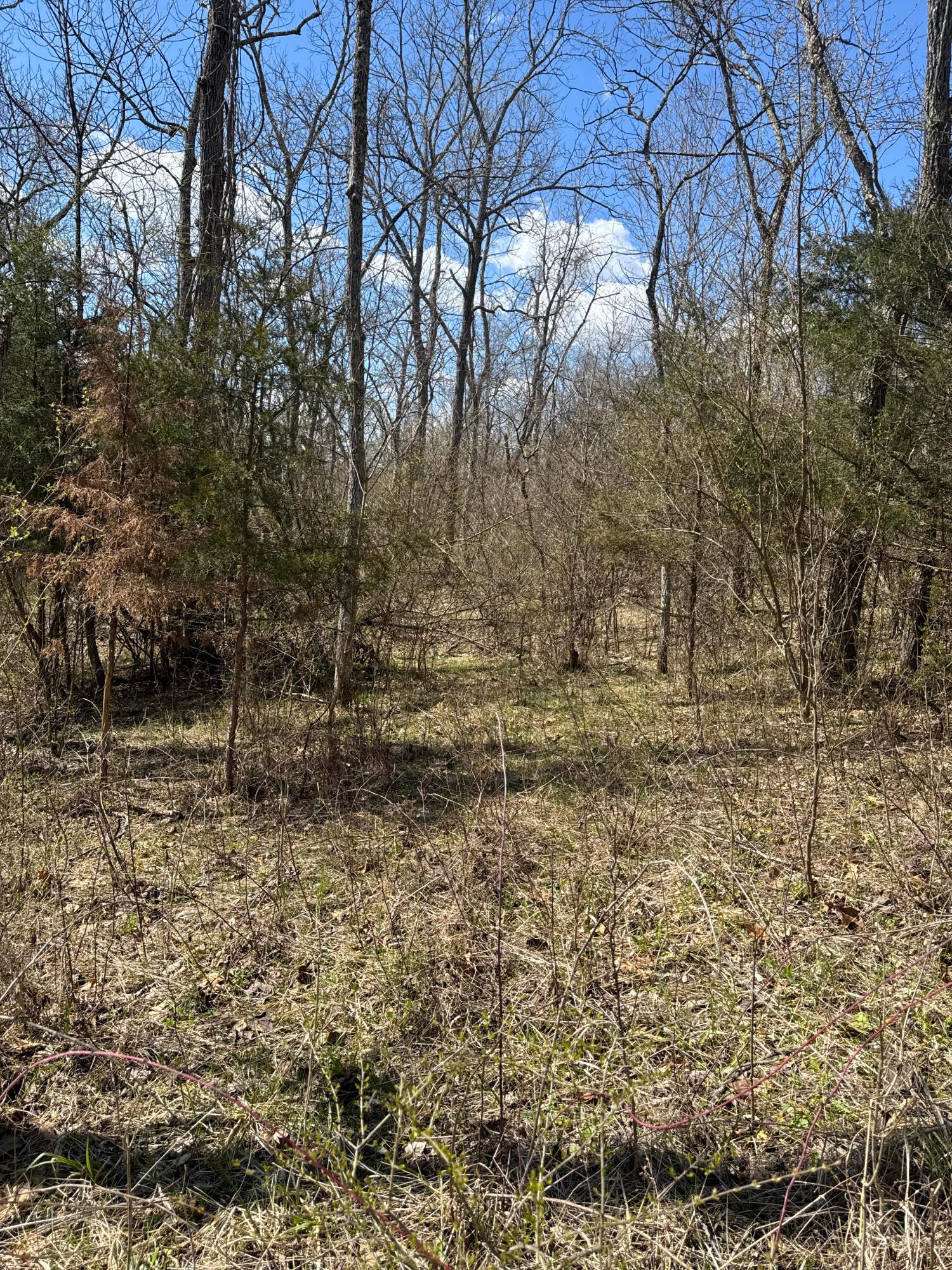 Left Fork Road, Bidwell, Ohio image 14
