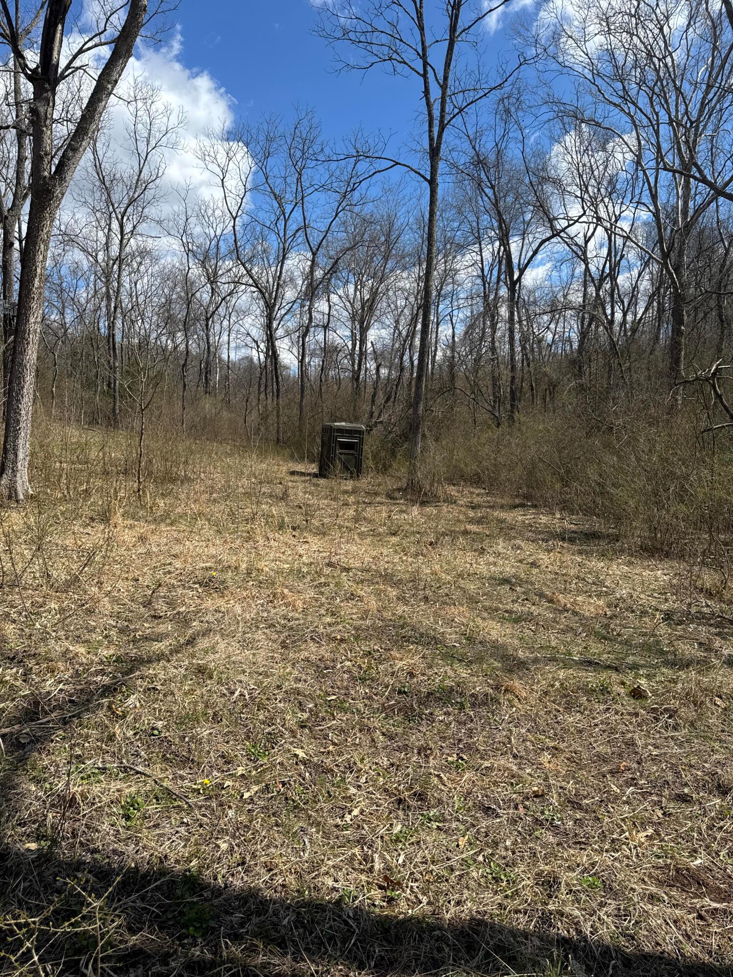 Left Fork Road, Bidwell, Ohio image 9
