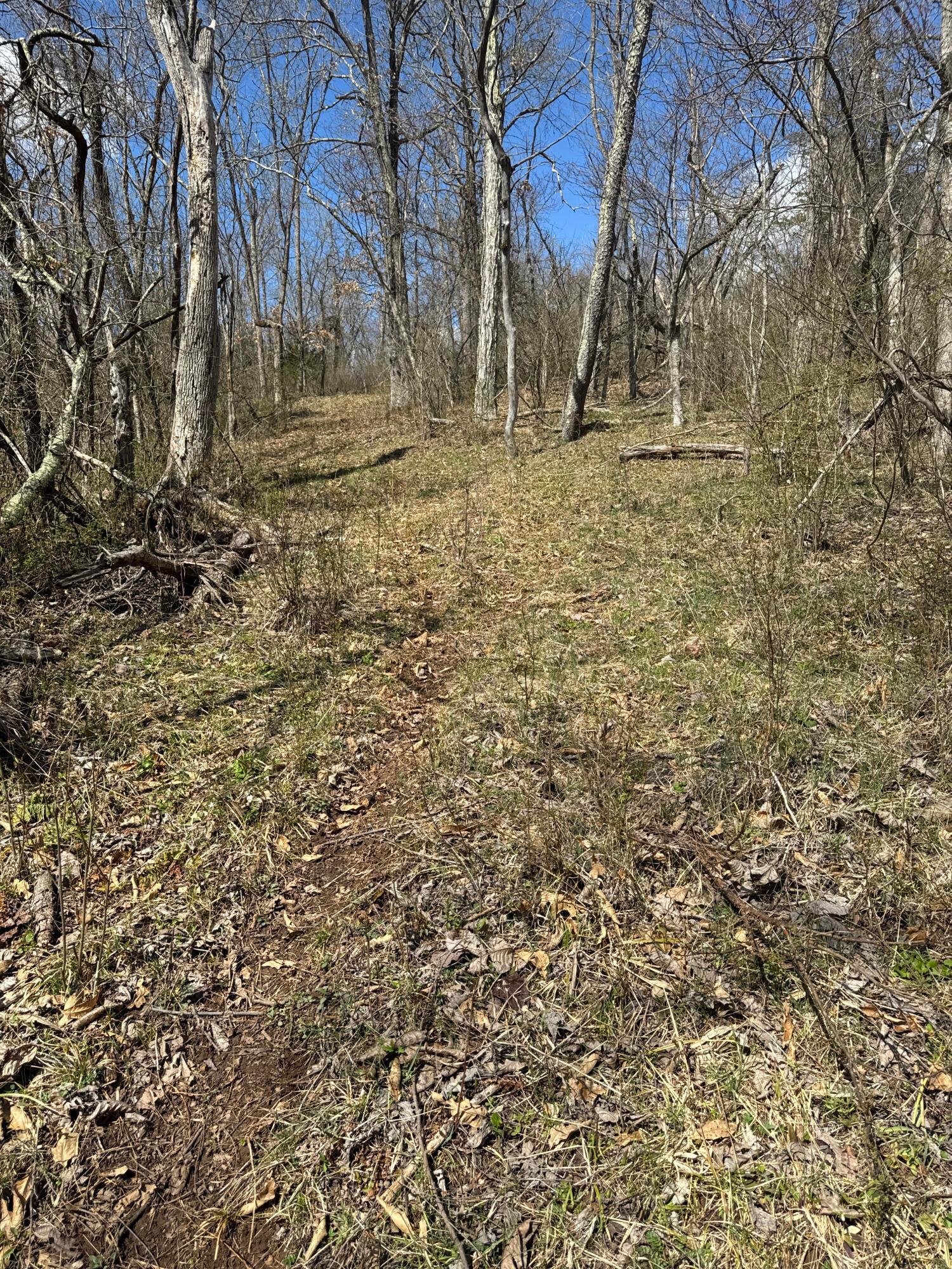 Left Fork Road, Bidwell, Ohio image 34