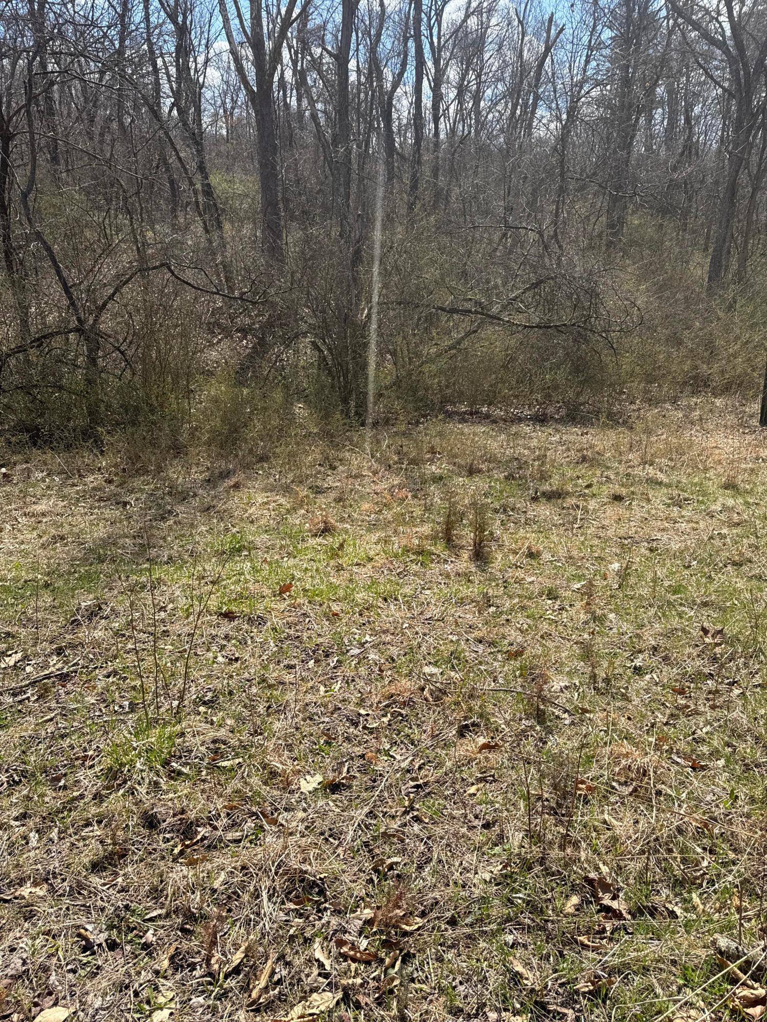 Left Fork Road, Bidwell, Ohio image 21