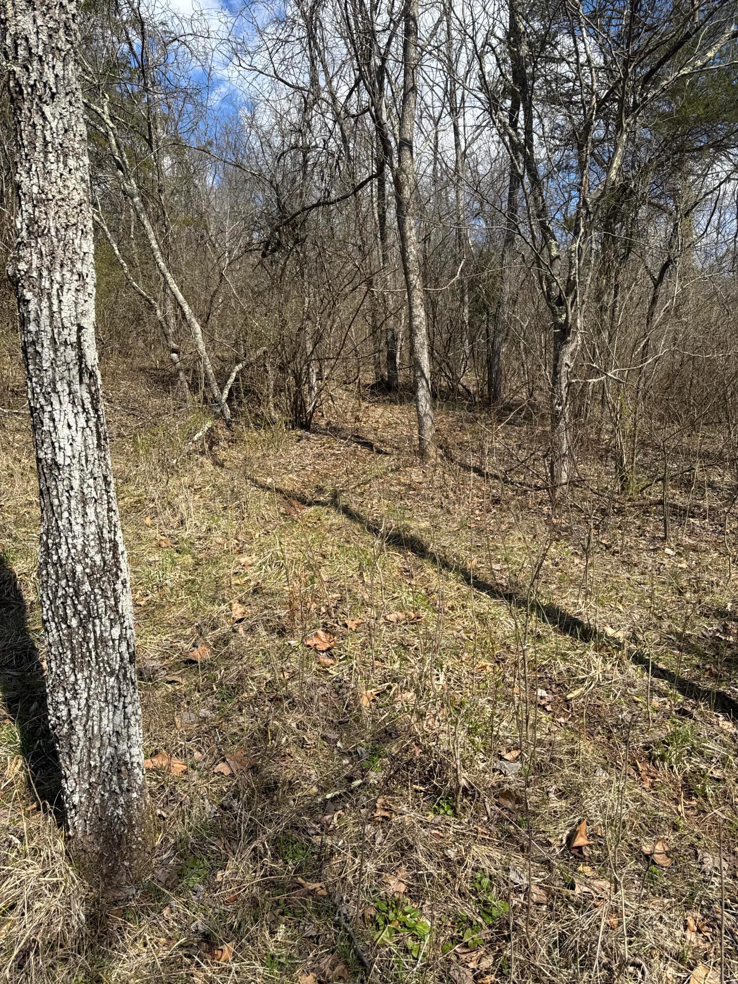 Left Fork Road, Bidwell, Ohio image 30