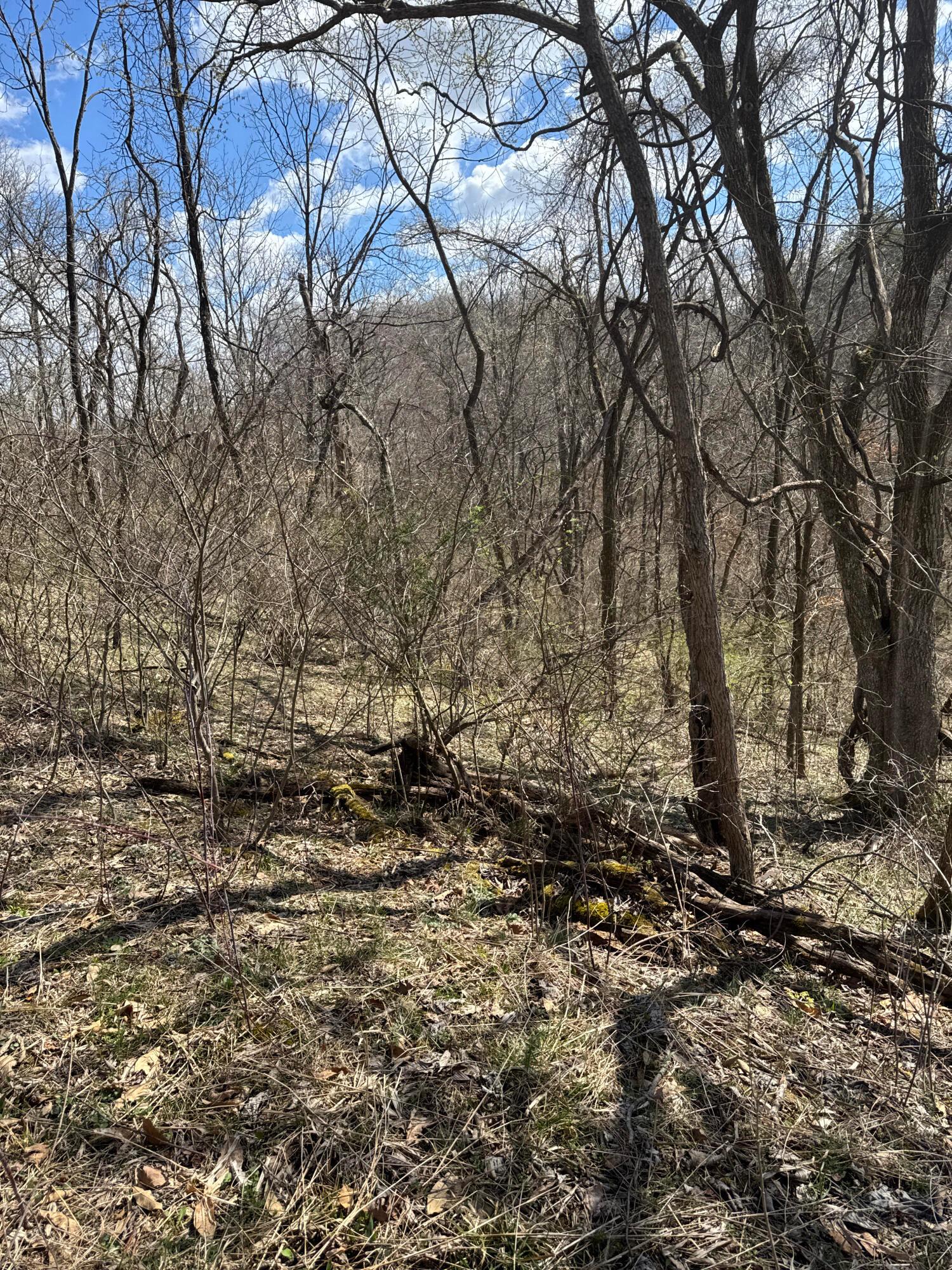 Left Fork Road, Bidwell, Ohio image 31