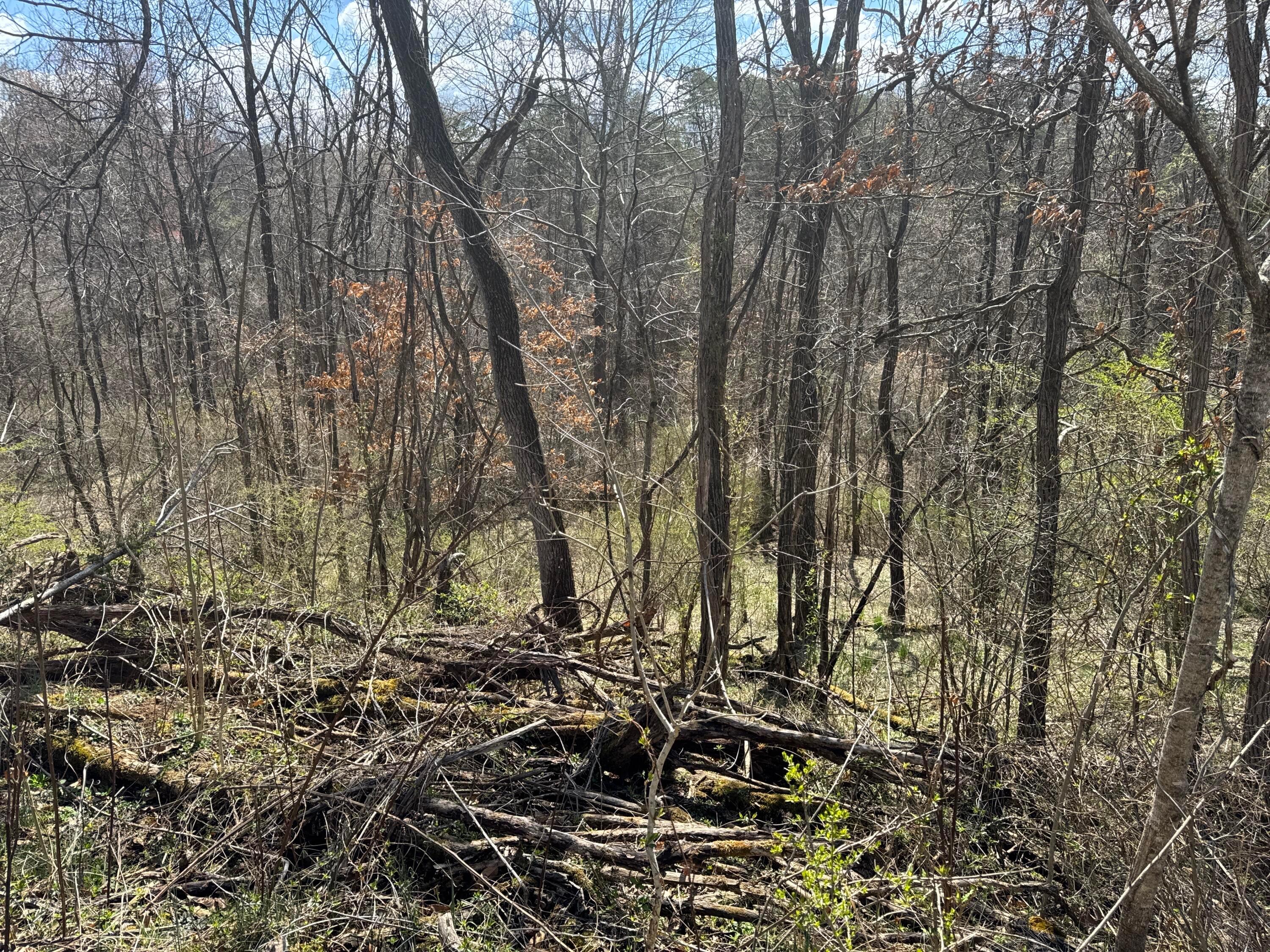 Left Fork Road, Bidwell, Ohio image 35