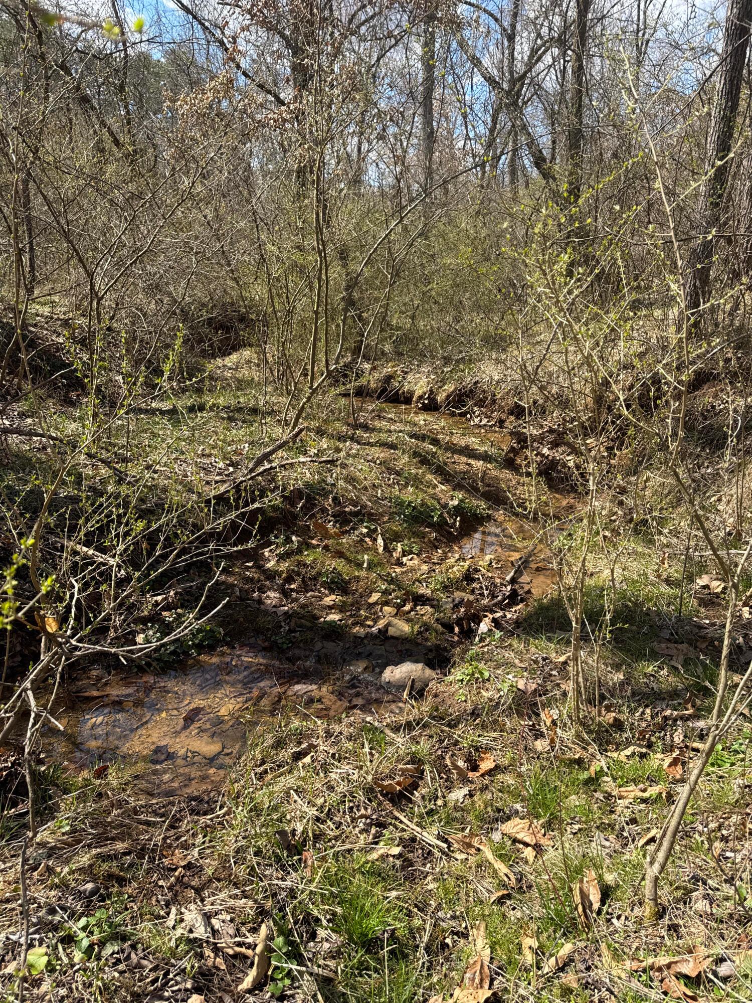 Left Fork Road, Bidwell, Ohio image 15