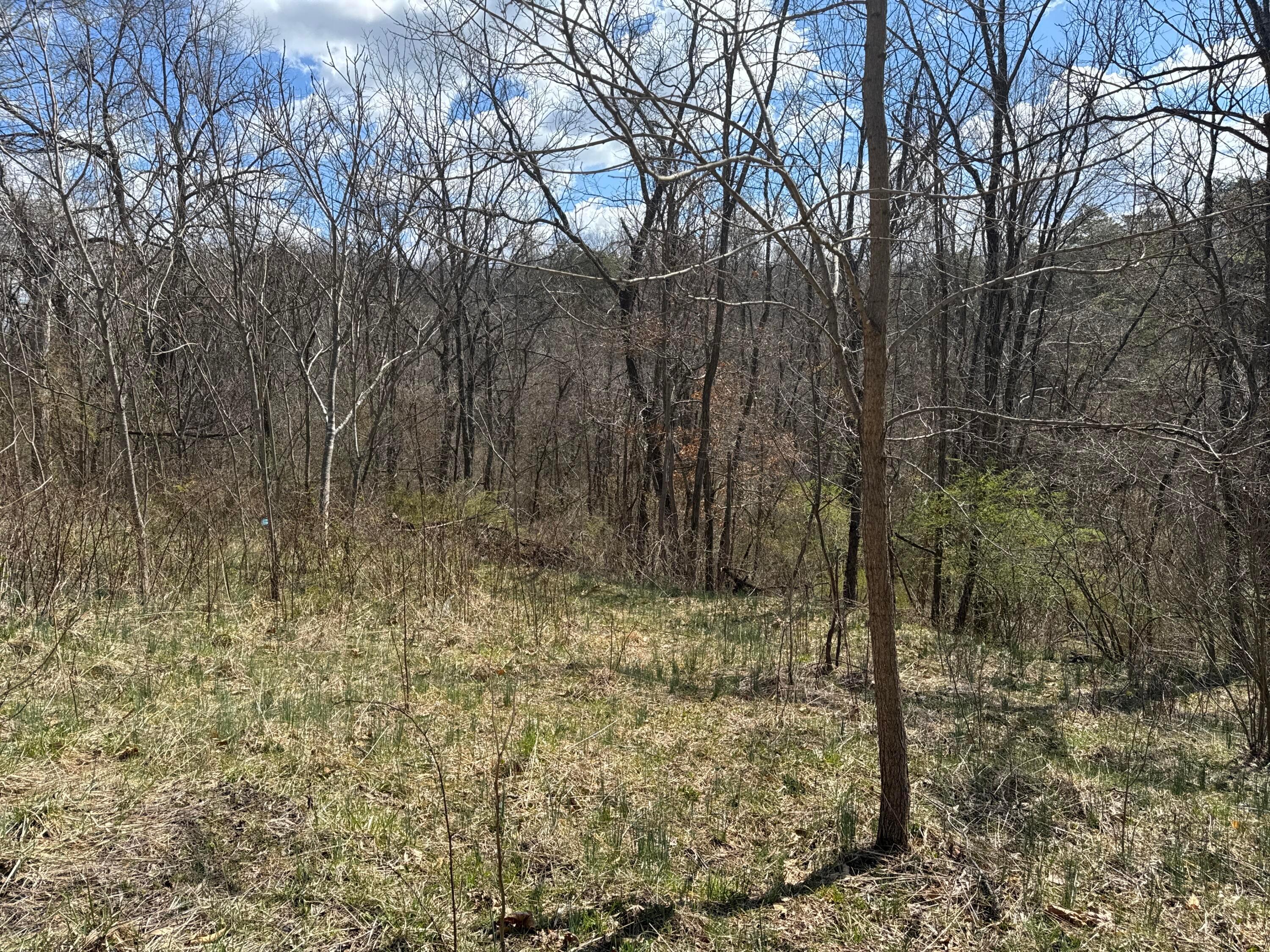 Left Fork Road, Bidwell, Ohio image 23