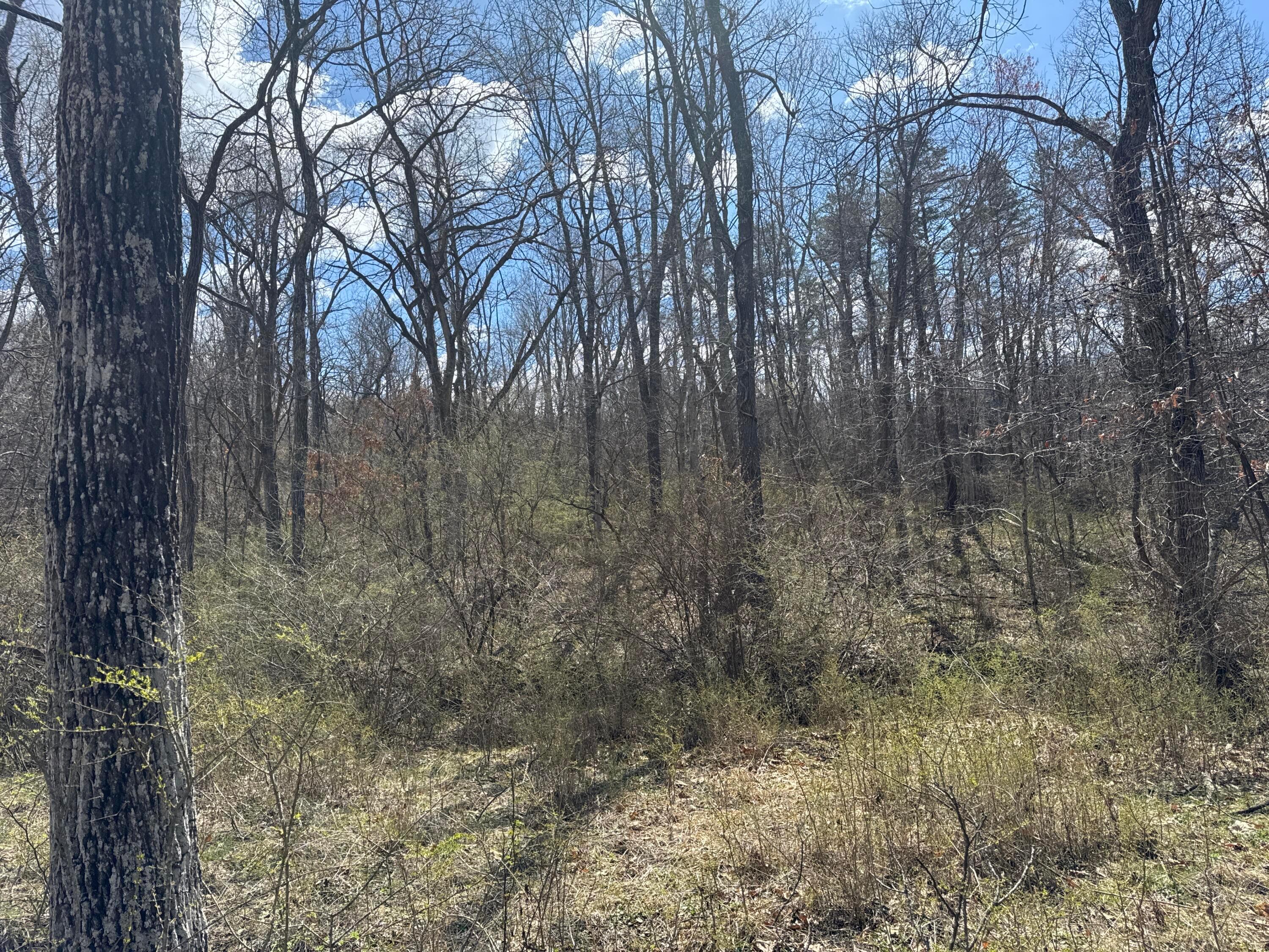 Left Fork Road, Bidwell, Ohio image 24