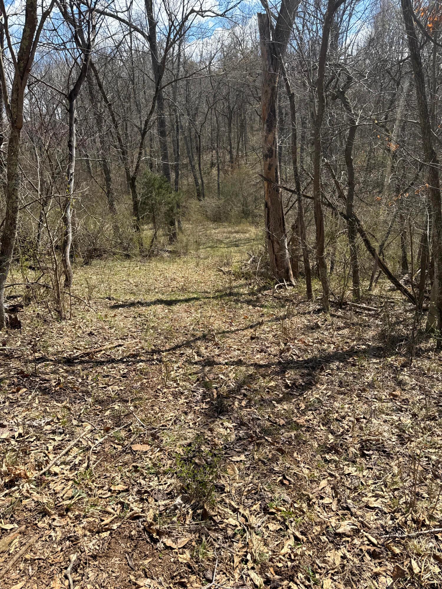 Left Fork Road, Bidwell, Ohio image 13