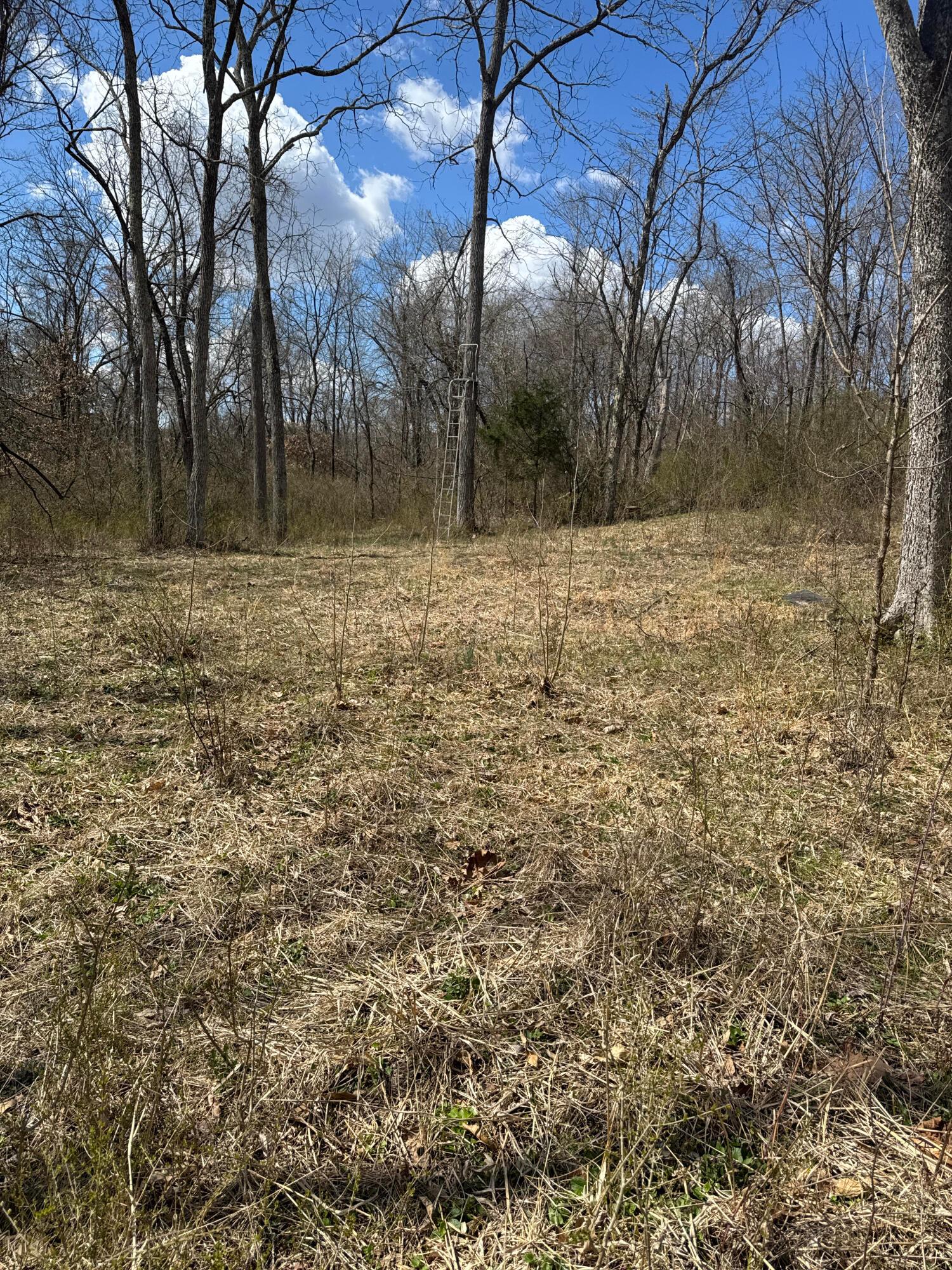 Left Fork Road, Bidwell, Ohio image 26