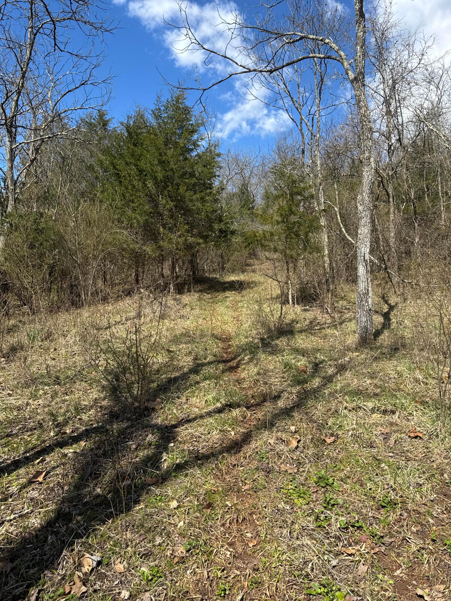 Left Fork Road, Bidwell, Ohio image 12