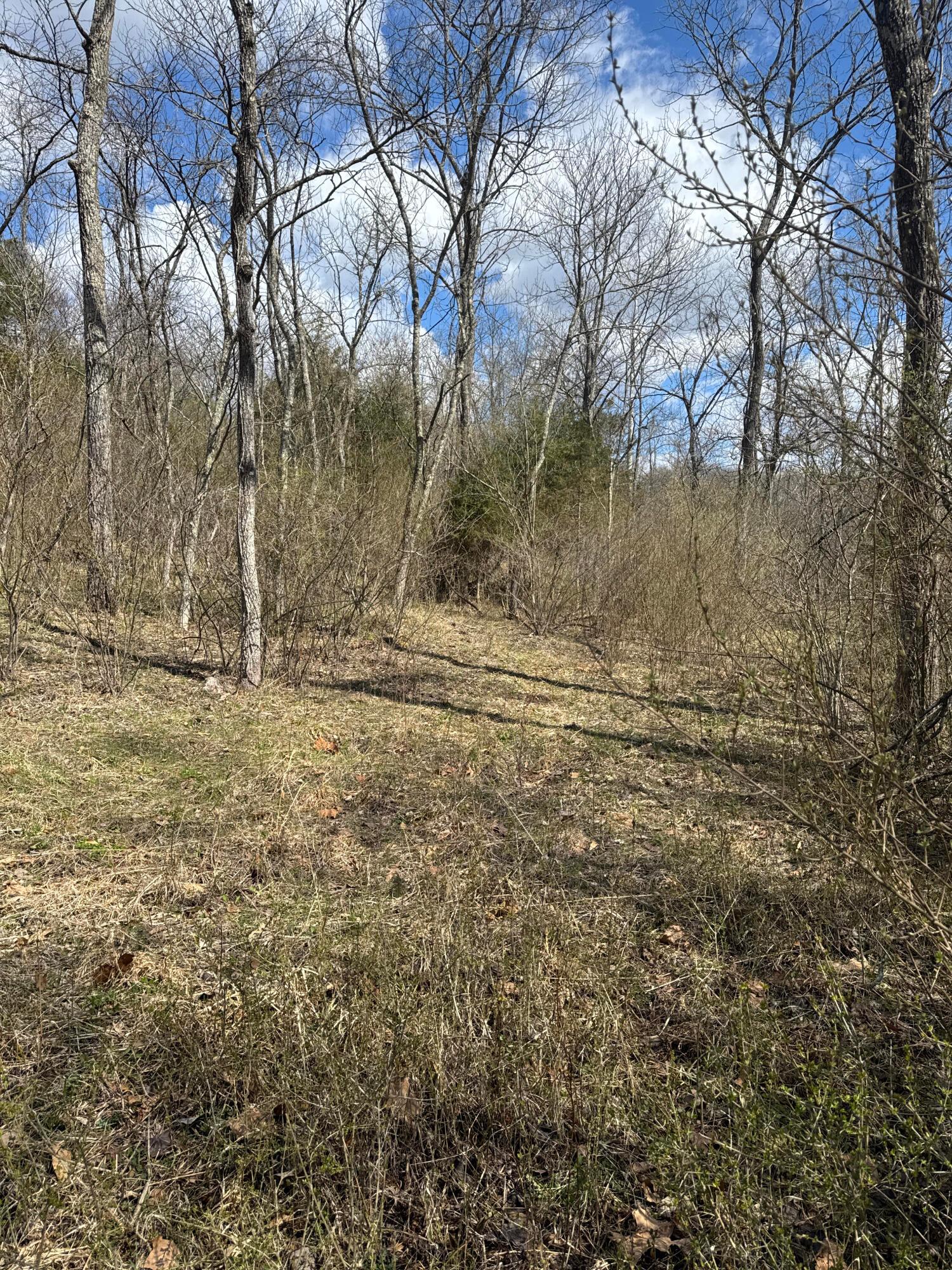 Left Fork Road, Bidwell, Ohio image 20