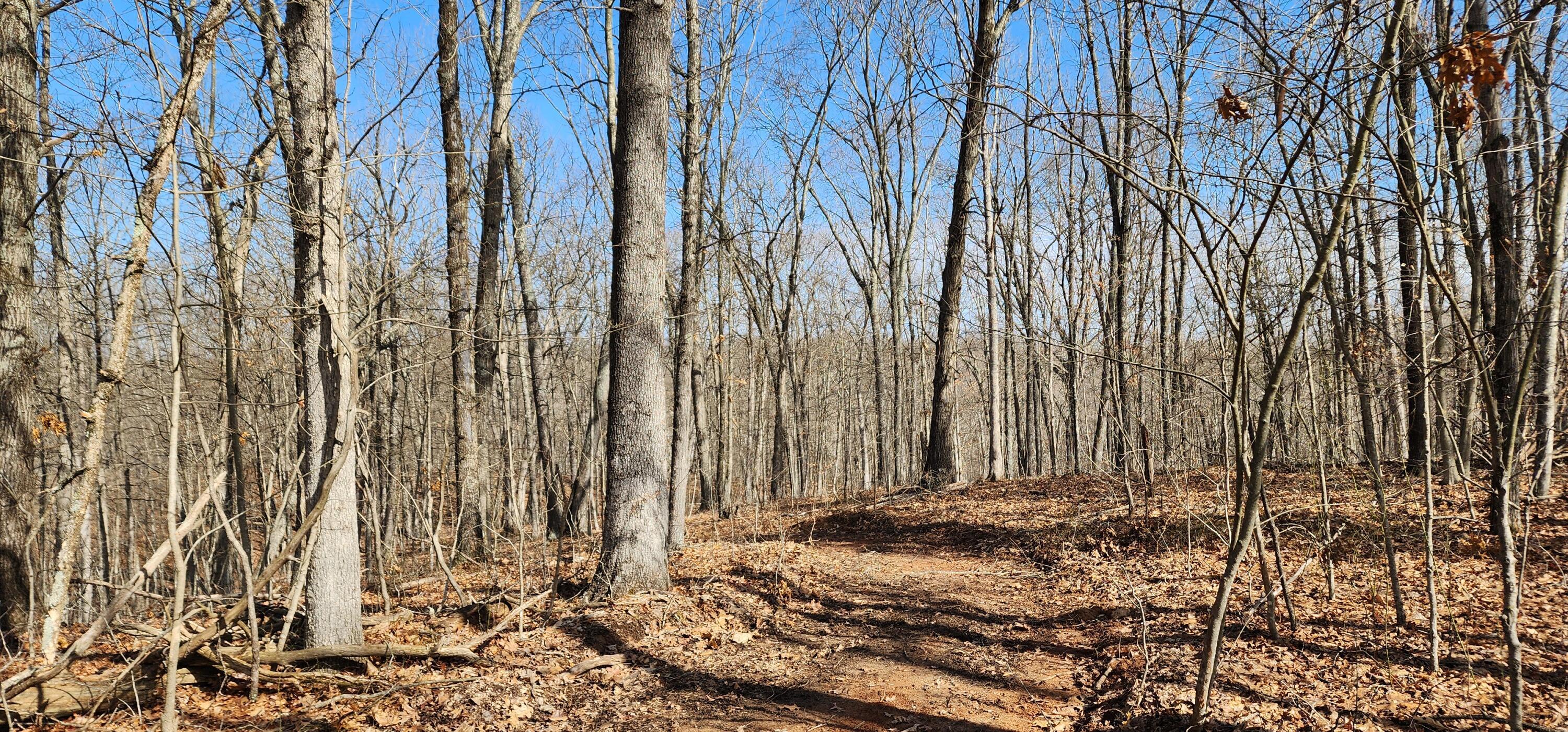 Edmunson Road #TRACT 8 AT BIG TIMBER, Vinton, Ohio image 44