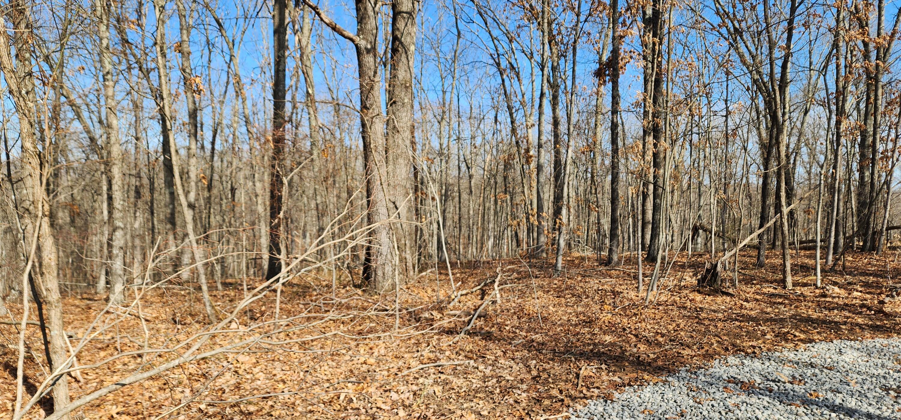 Edmunson Road #TRACT 8 AT BIG TIMBER, Vinton, Ohio image 47