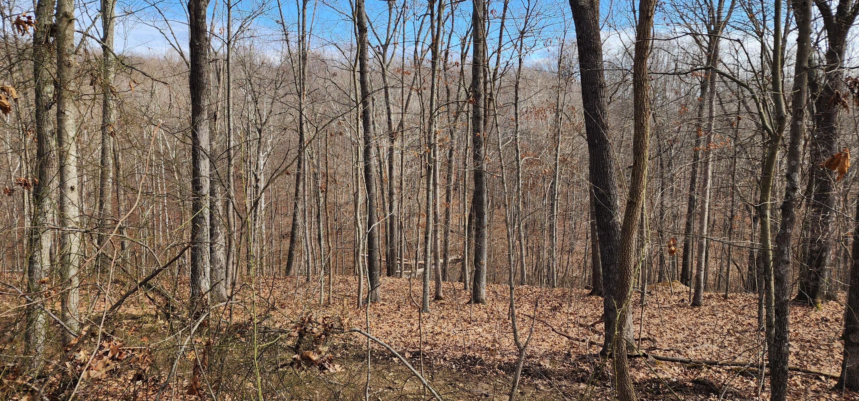 Edmunson Road #TRACT 8 AT BIG TIMBER, Vinton, Ohio image 24