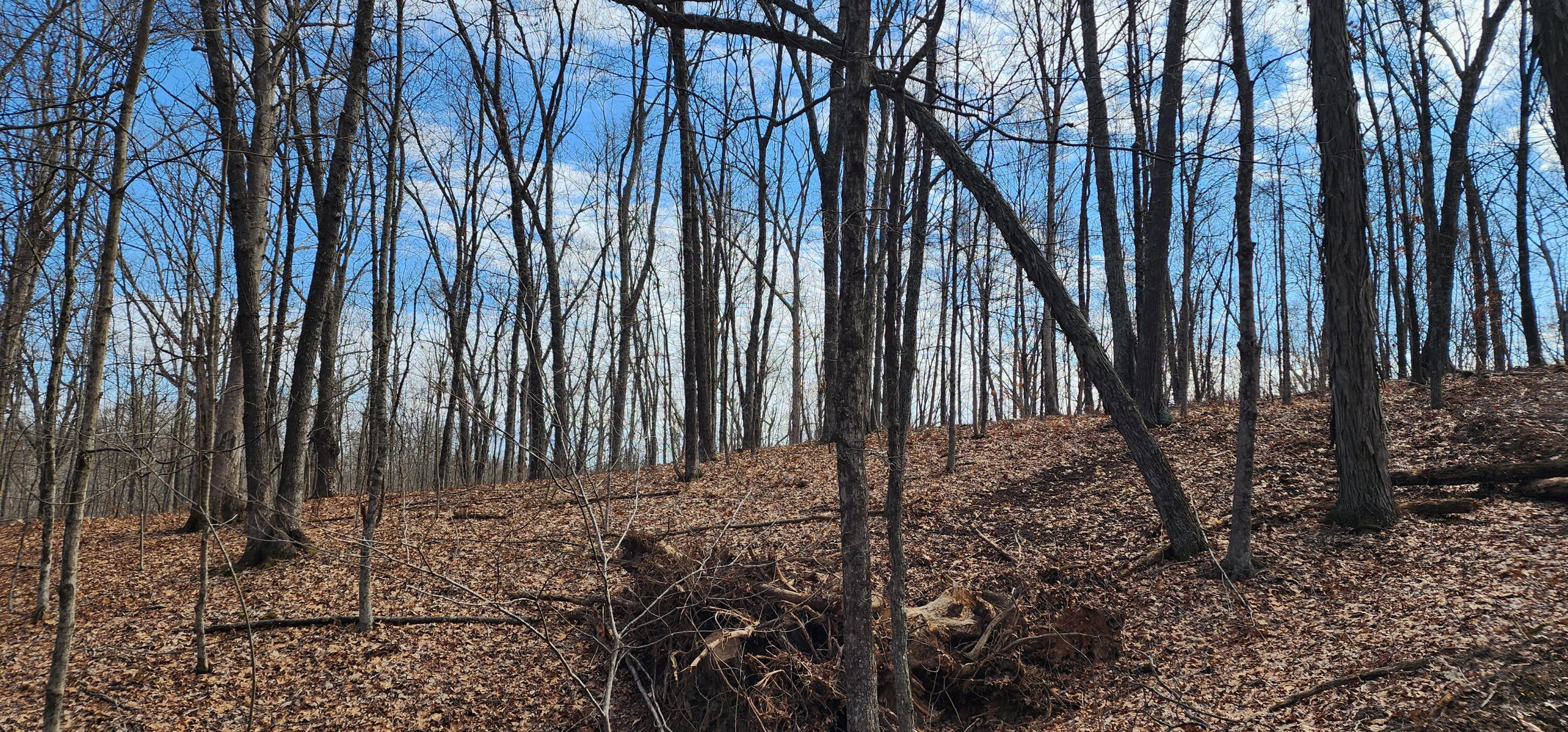 Edmunson Road #TRACT 8 AT BIG TIMBER, Vinton, Ohio image 16