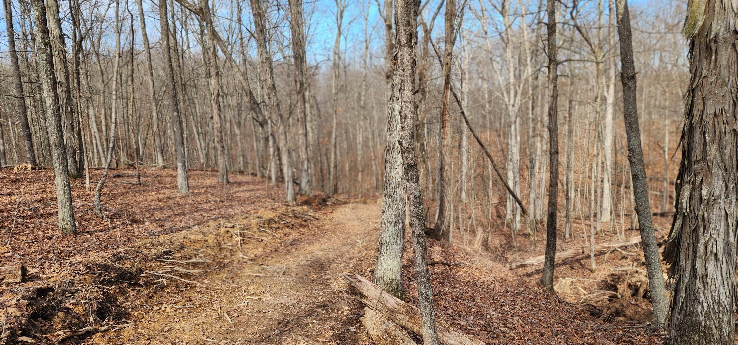 Edmunson Road #TRACT 8 AT BIG TIMBER, Vinton, Ohio image 10