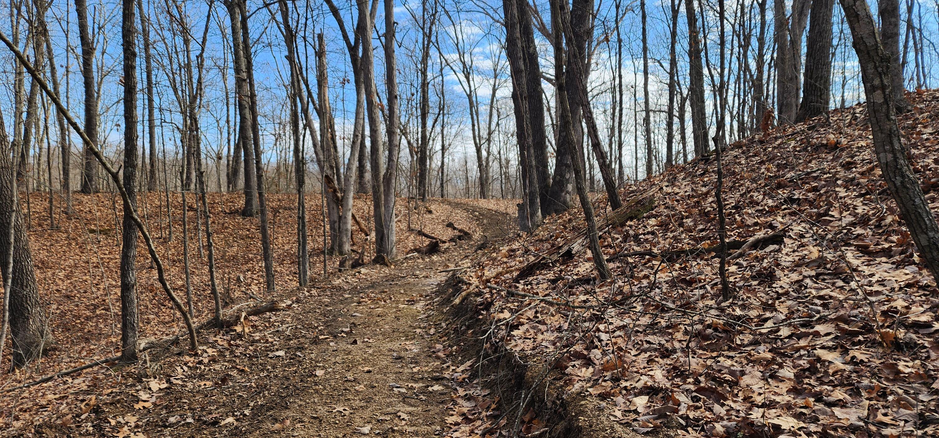 Edmunson Road #TRACT 8 AT BIG TIMBER, Vinton, Ohio image 3