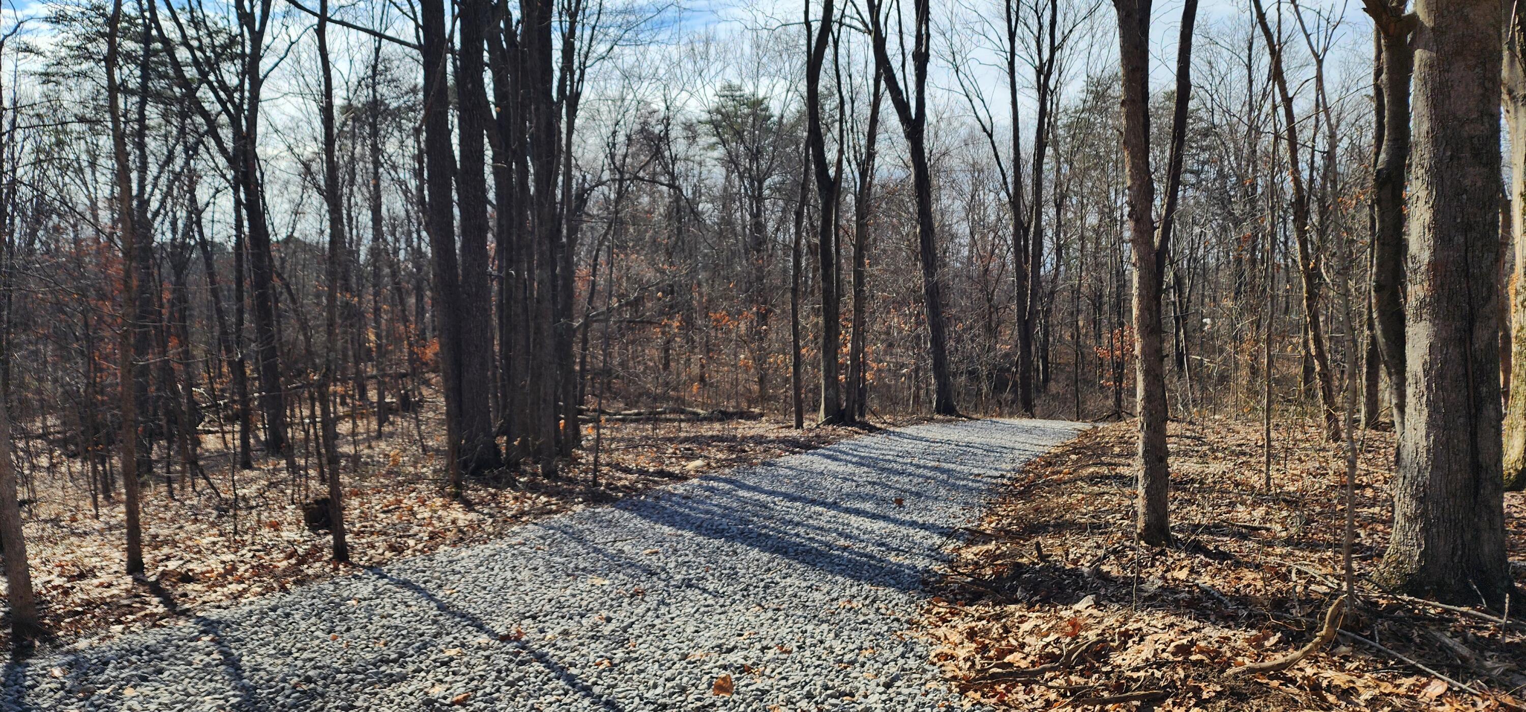 Edmunson Road #TRACT 8 AT BIG TIMBER, Vinton, Ohio image 49