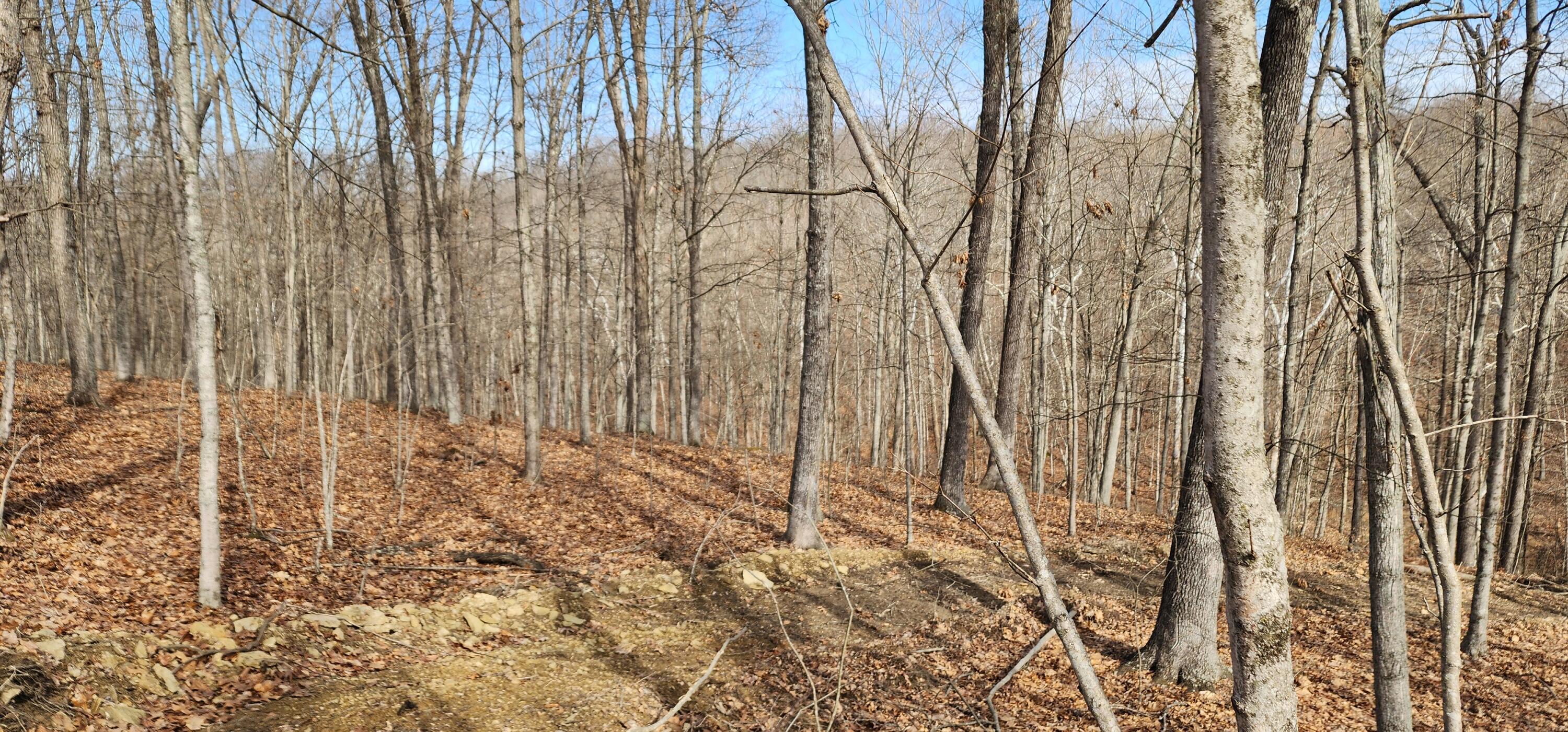 Edmunson Road #TRACT 8 AT BIG TIMBER, Vinton, Ohio image 25