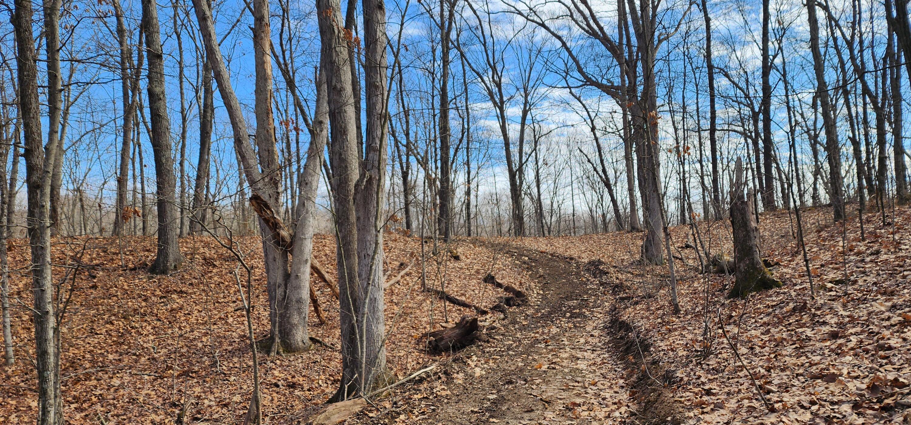 Edmunson Road #TRACT 8 AT BIG TIMBER, Vinton, Ohio image 21