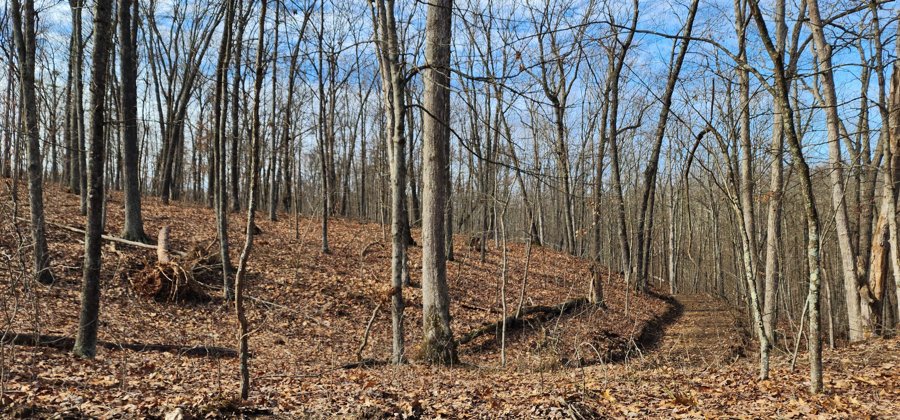 Edmunson Road #TRACT 8 AT BIG TIMBER, Vinton, Ohio image 31