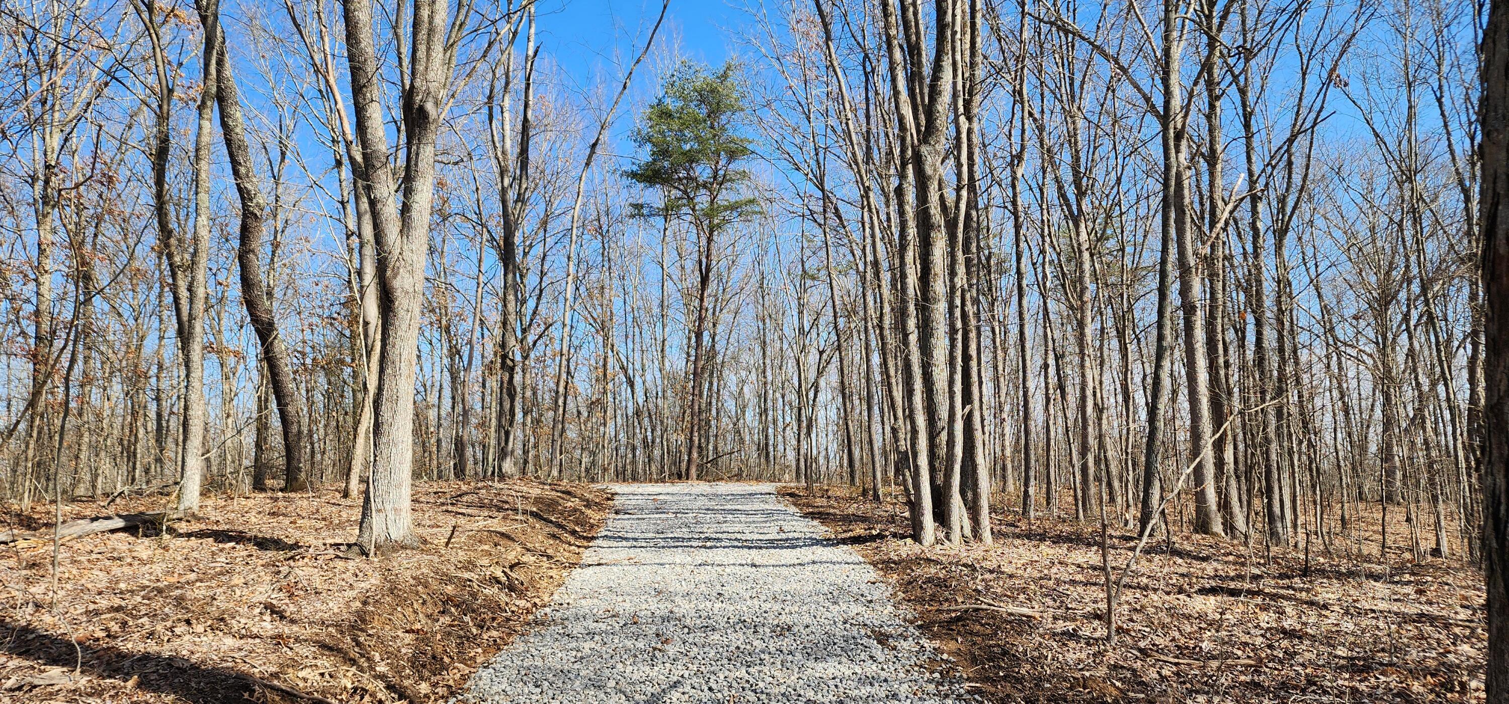 Edmunson Road #TRACT 8 AT BIG TIMBER, Vinton, Ohio image 7