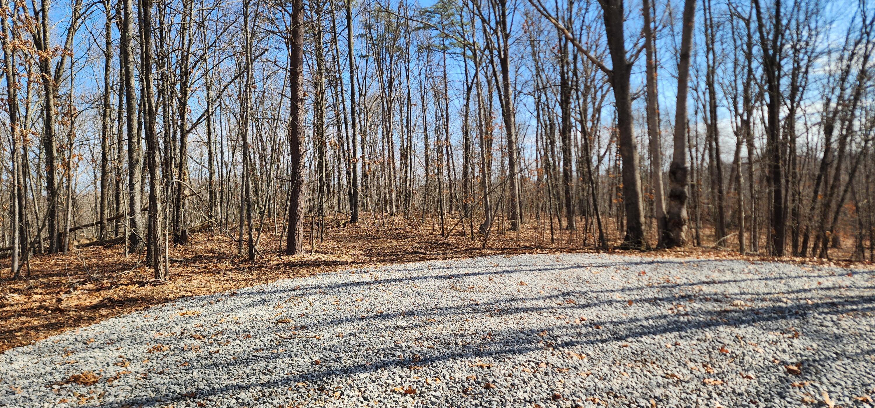 Edmunson Road #TRACT 8 AT BIG TIMBER, Vinton, Ohio image 9