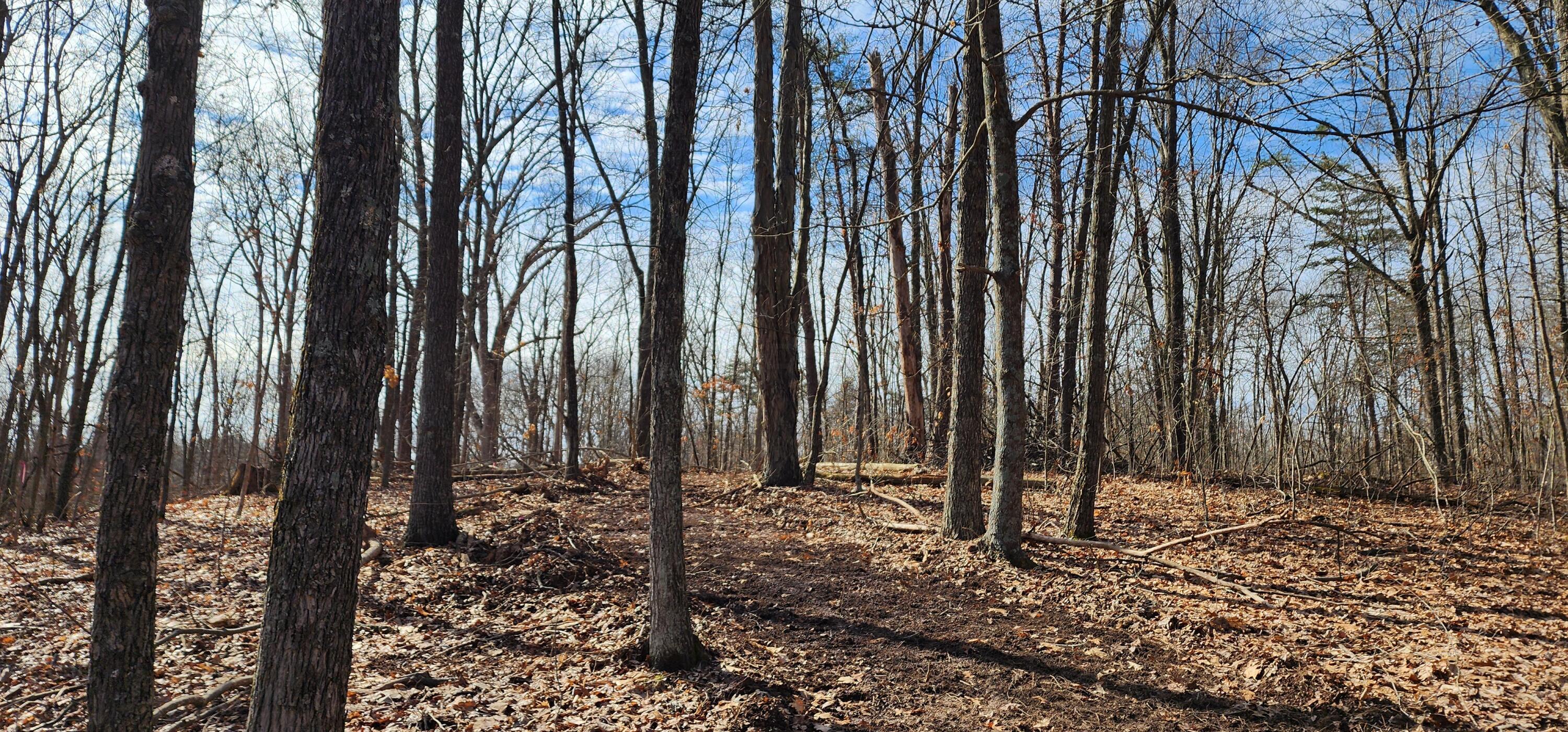 Edmunson Road #TRACT 8 AT BIG TIMBER, Vinton, Ohio image 39