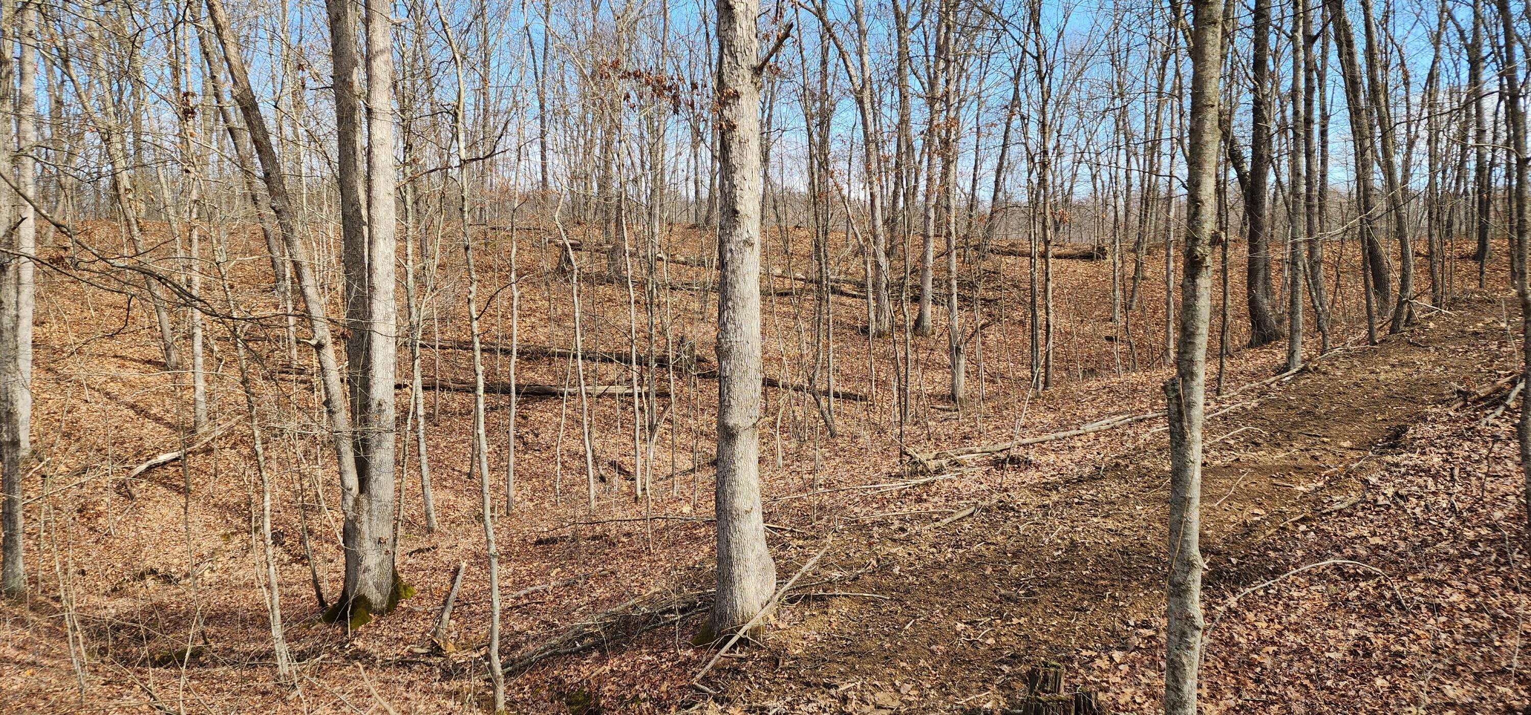 Edmunson Road #TRACT 8 AT BIG TIMBER, Vinton, Ohio image 18