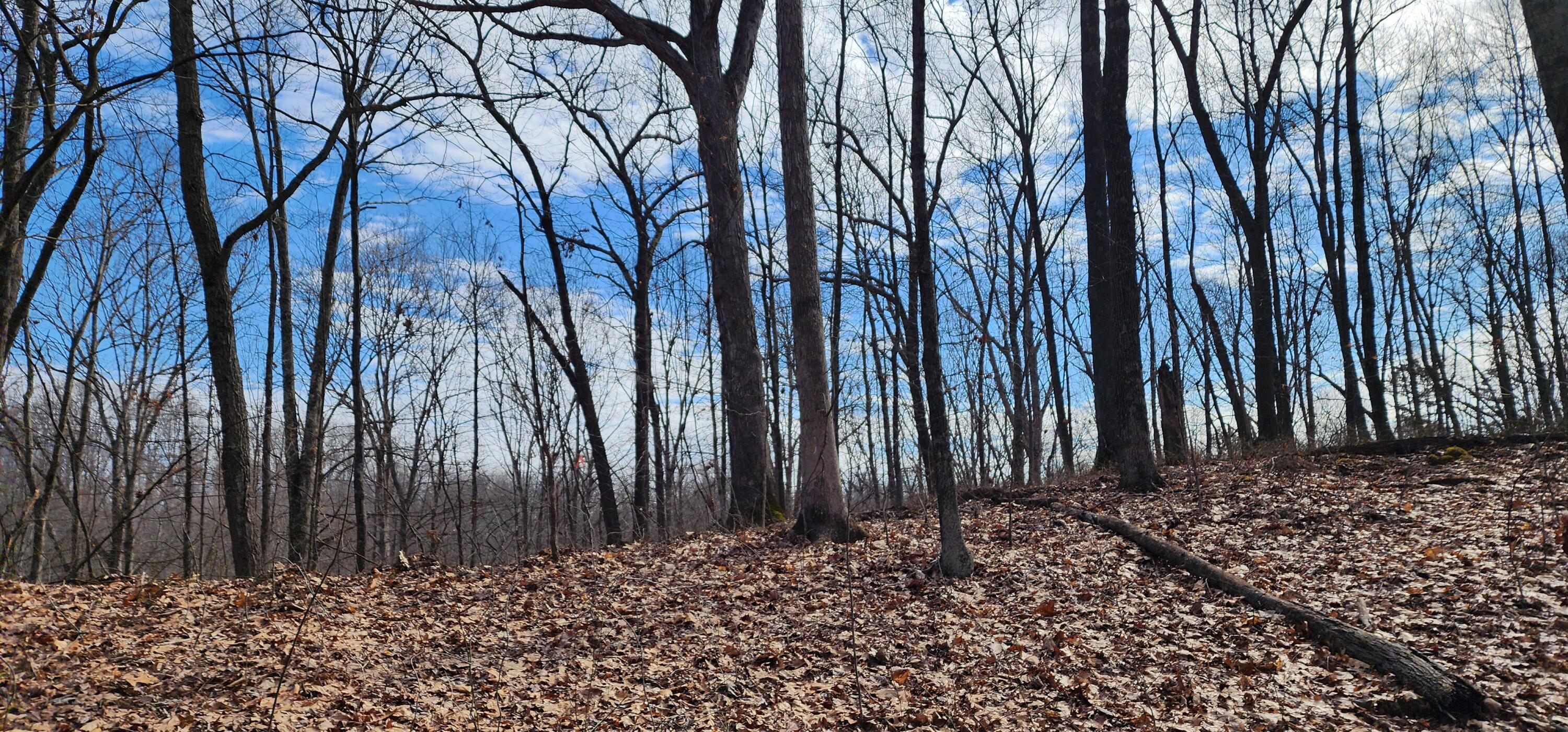 Edmunson Road #TRACT 8 AT BIG TIMBER, Vinton, Ohio image 22