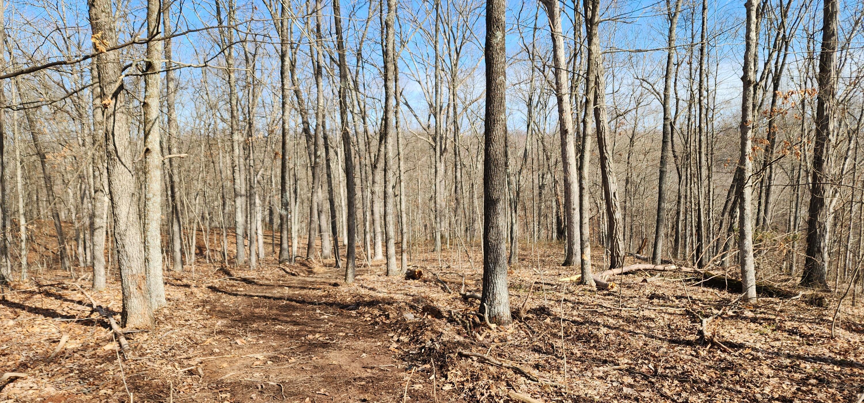 Edmunson Road #TRACT 8 AT BIG TIMBER, Vinton, Ohio image 42