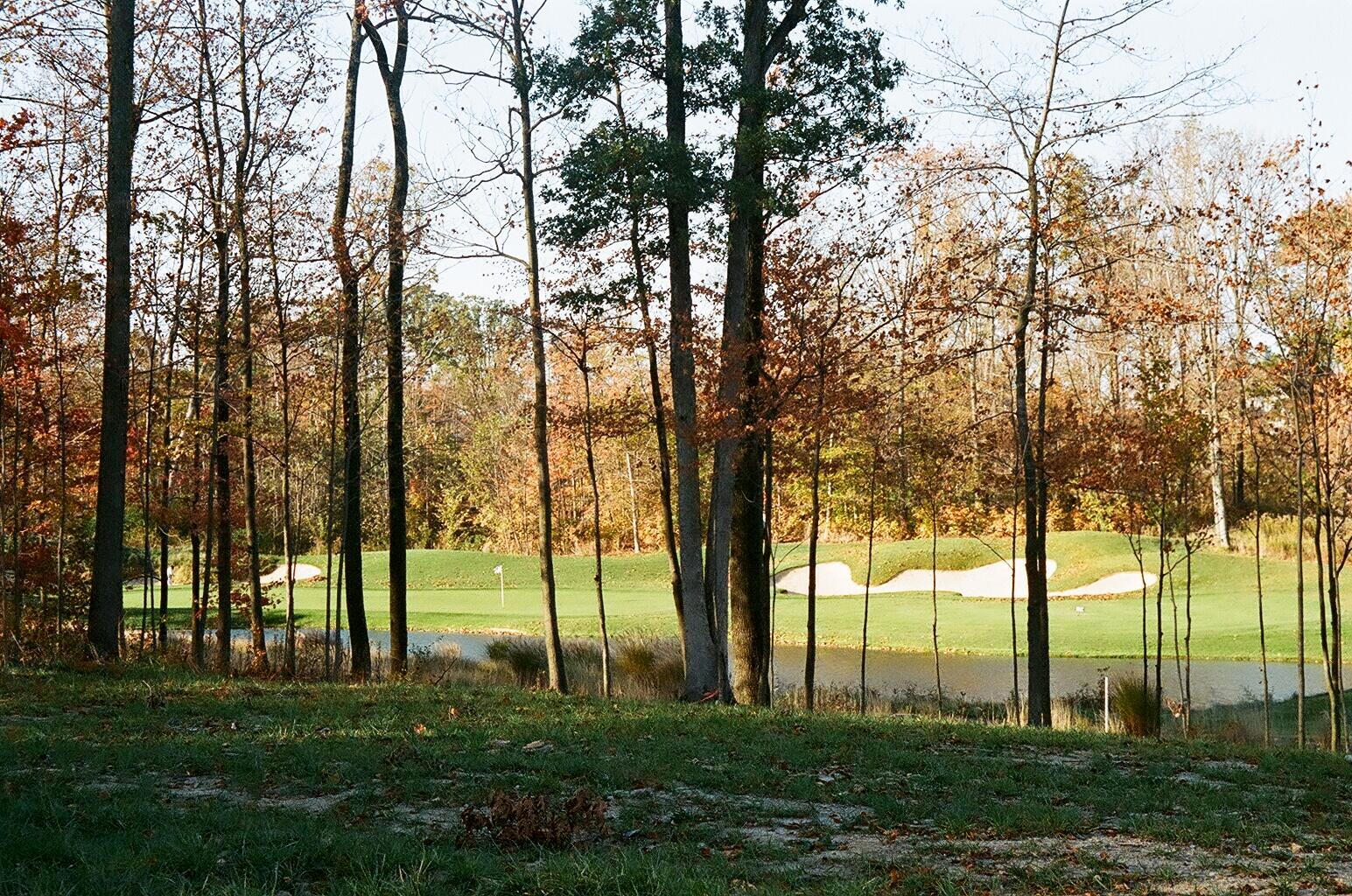 10011 Allen Drive, Dublin, Ohio image 5