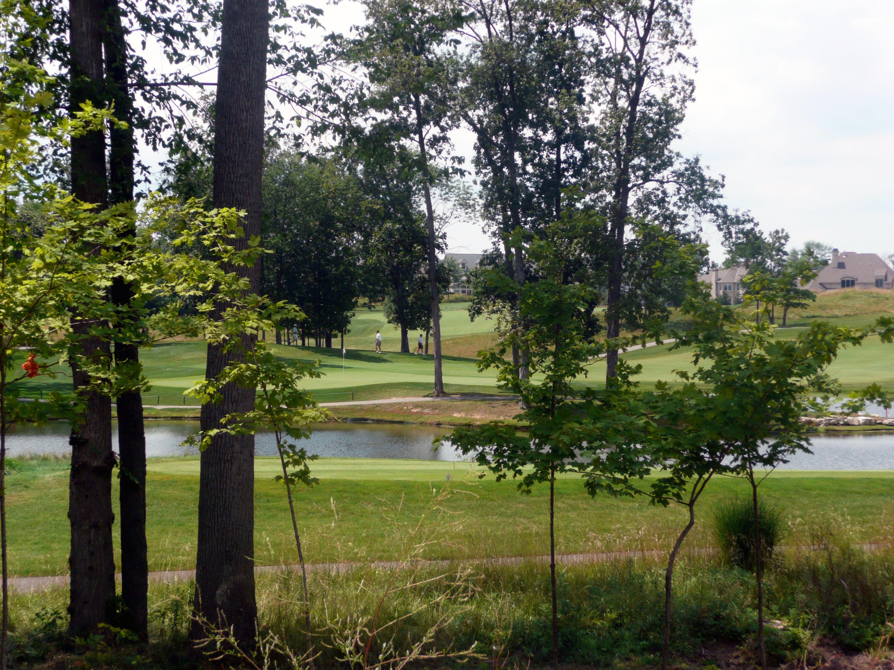 10011 Allen Drive, Dublin, Ohio image 4