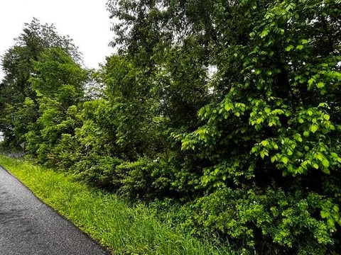 Vacant Land For Sale - Lower Fredericktown Amity Road<br/> Butler, OH 44822