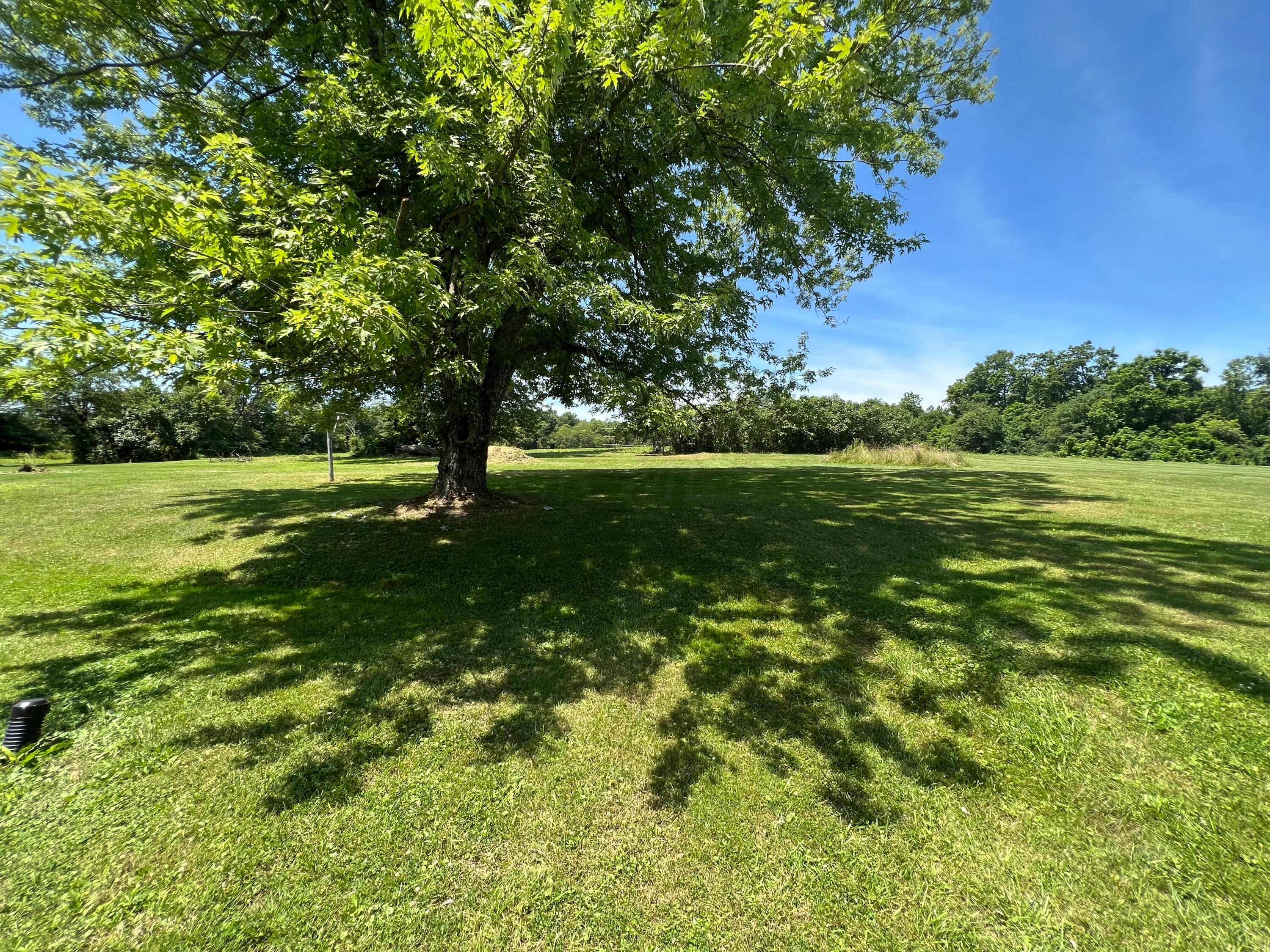 445 County Line Road, Hopewell, Ohio image 3