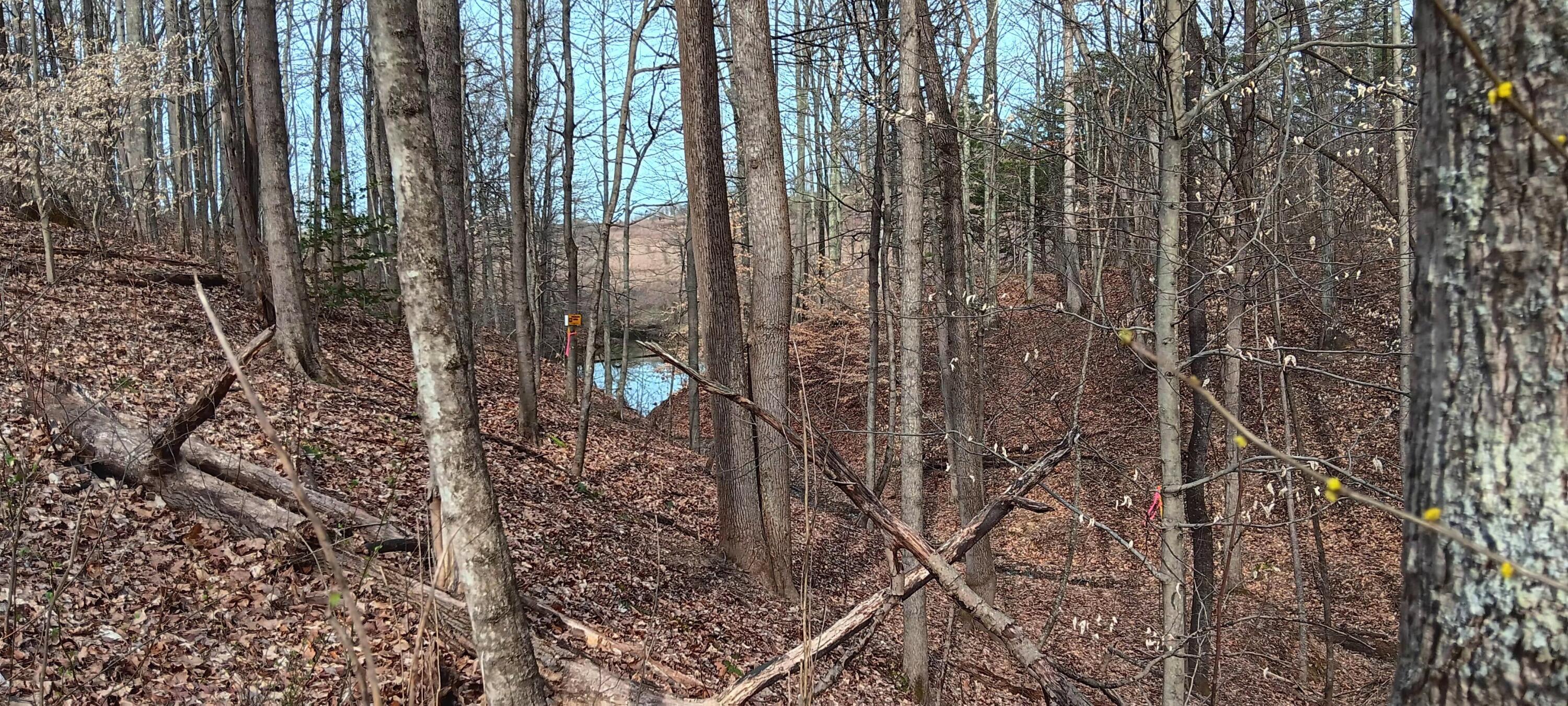 24 Garland Creek Road #CROWN WILDLIFE TRACT 1, Crown City, Ohio image 7
