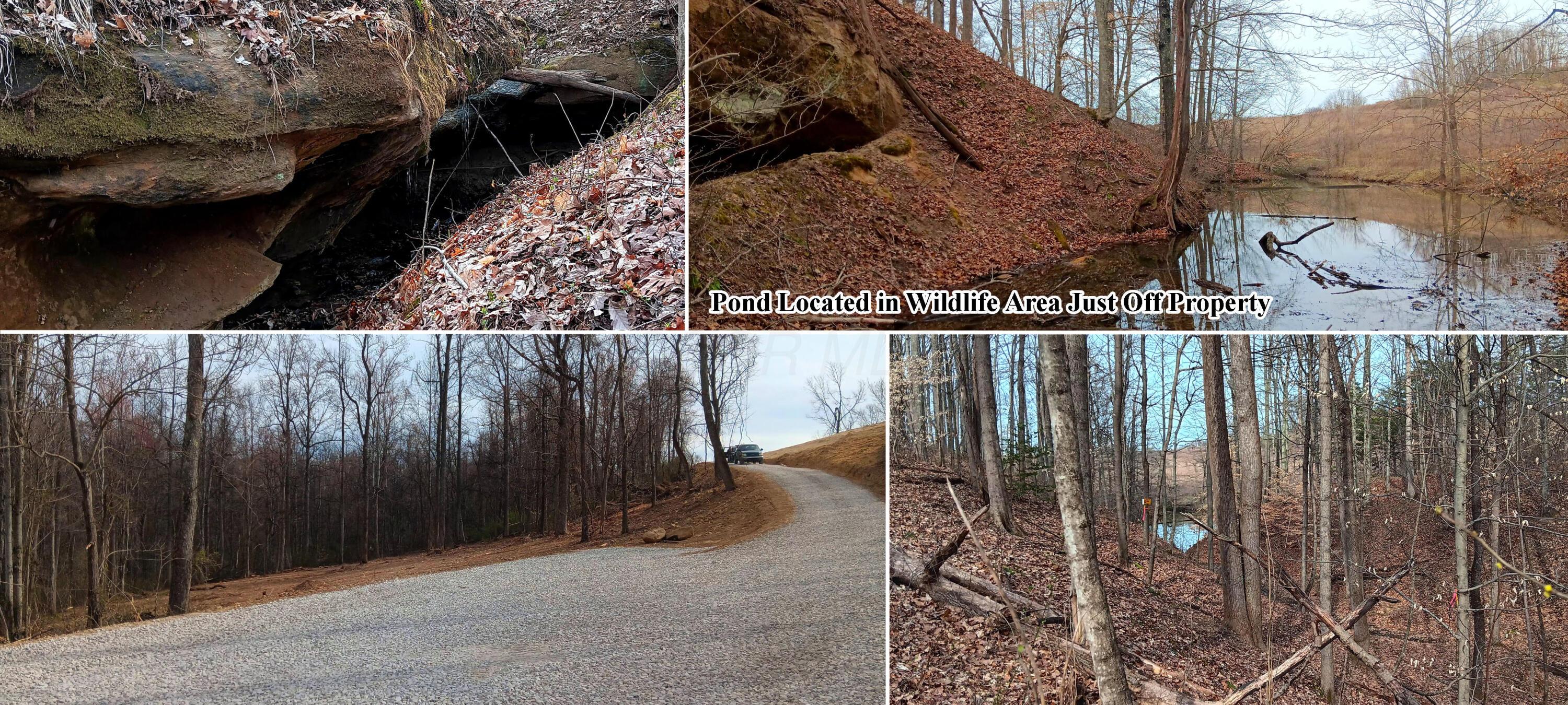 24 Garland Creek Road #CROWN WILDLIFE TRACT 1, Crown City, Ohio image 1