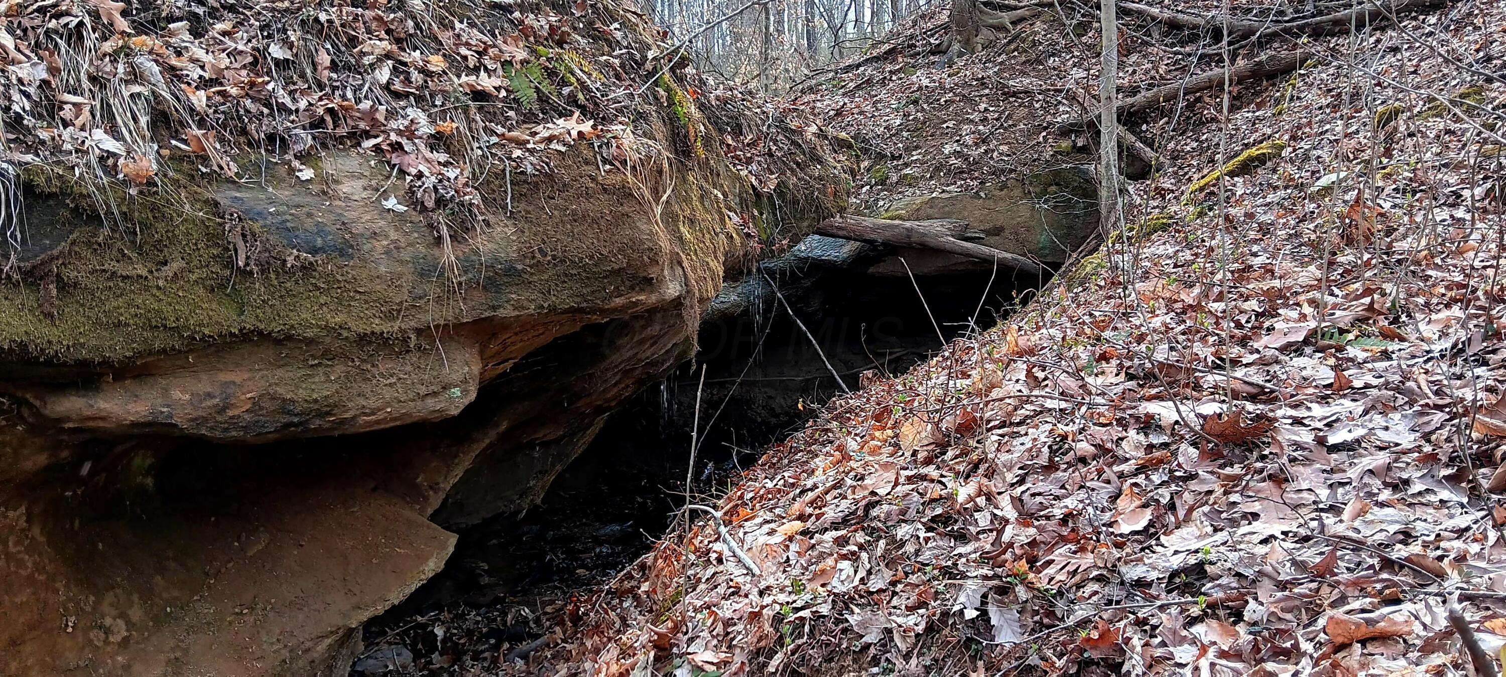 24 Garland Creek Road #CROWN WILDLIFE TRACT 1, Crown City, Ohio image 3