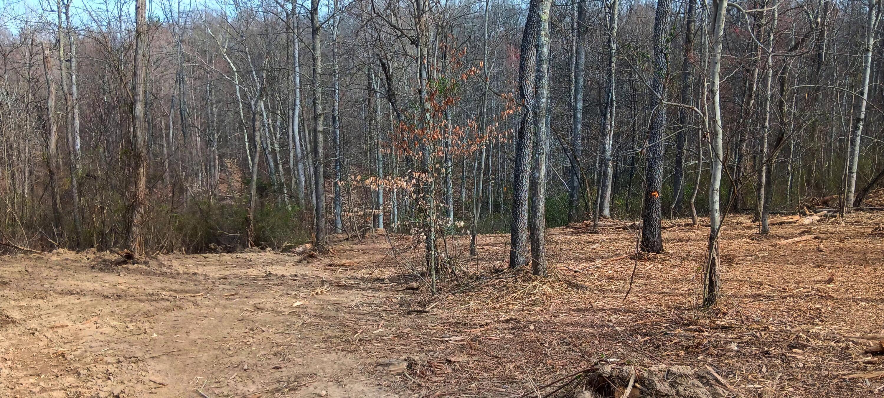 24 Garland Creek Road #CROWN WILDLIFE TRACT 1, Crown City, Ohio image 27