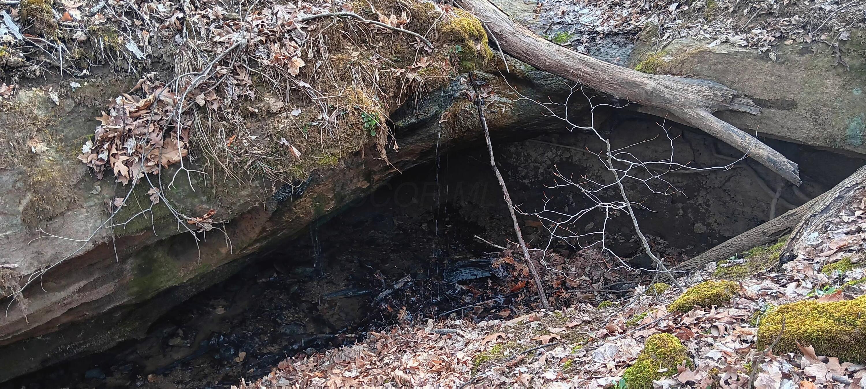 24 Garland Creek Road #CROWN WILDLIFE TRACT 1, Crown City, Ohio image 16