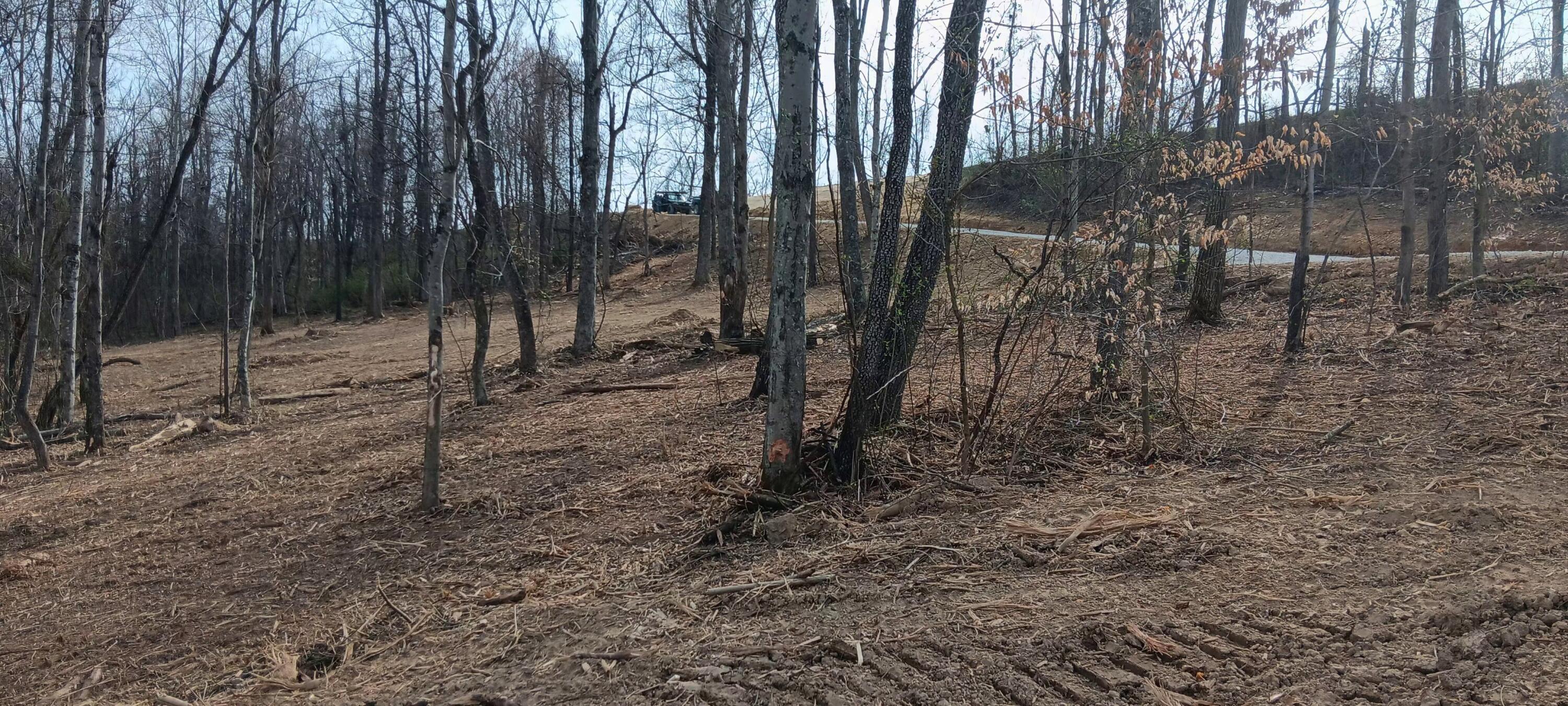 24 Garland Creek Road #CROWN WILDLIFE TRACT 1, Crown City, Ohio image 23