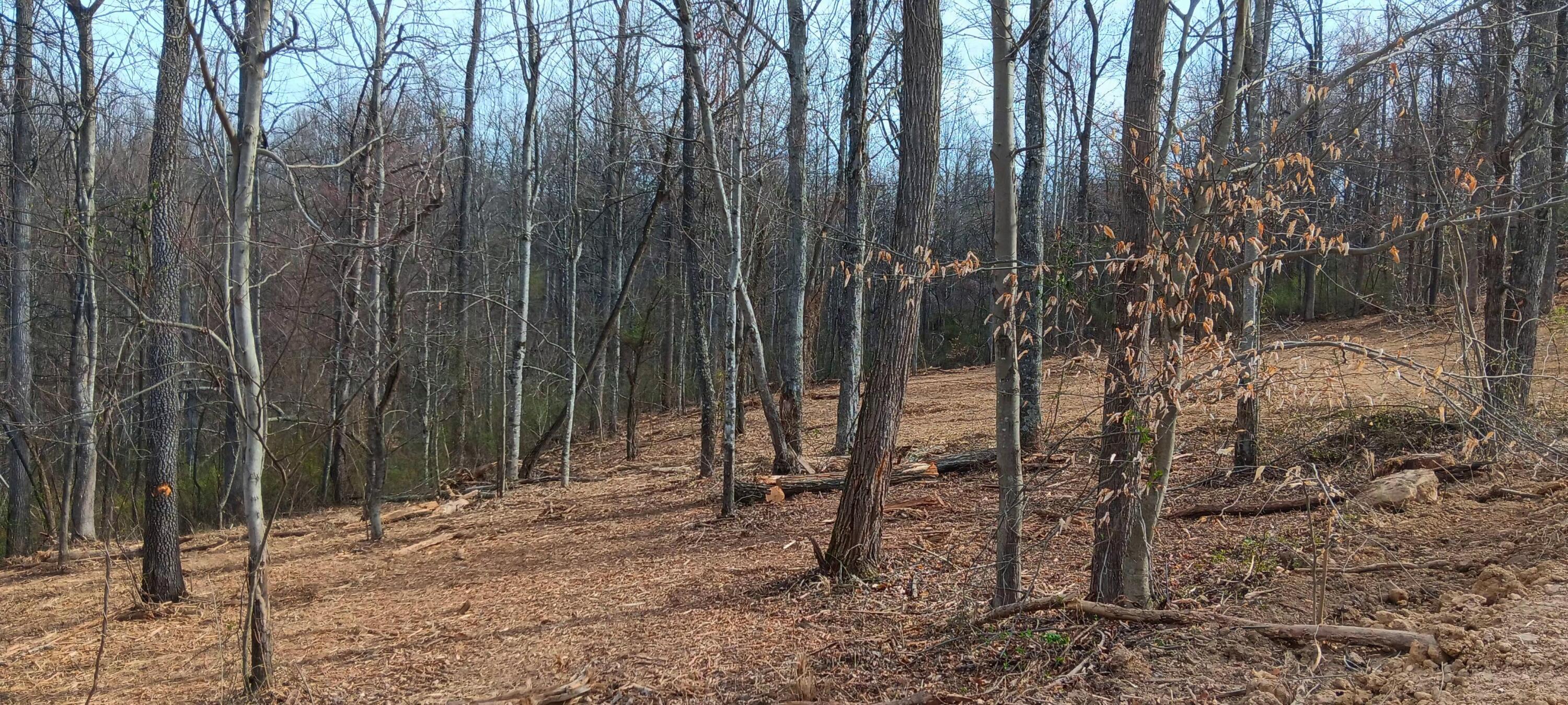 24 Garland Creek Road #CROWN WILDLIFE TRACT 1, Crown City, Ohio image 26
