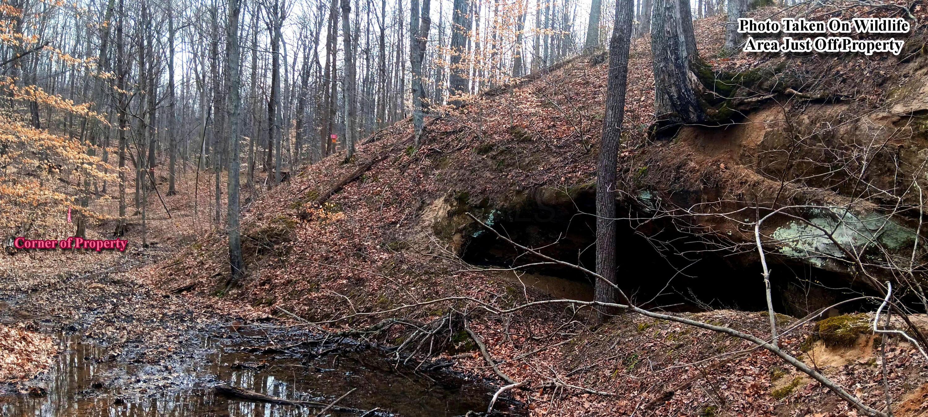 24 Garland Creek Road #CROWN WILDLIFE TRACT 1, Crown City, Ohio image 6