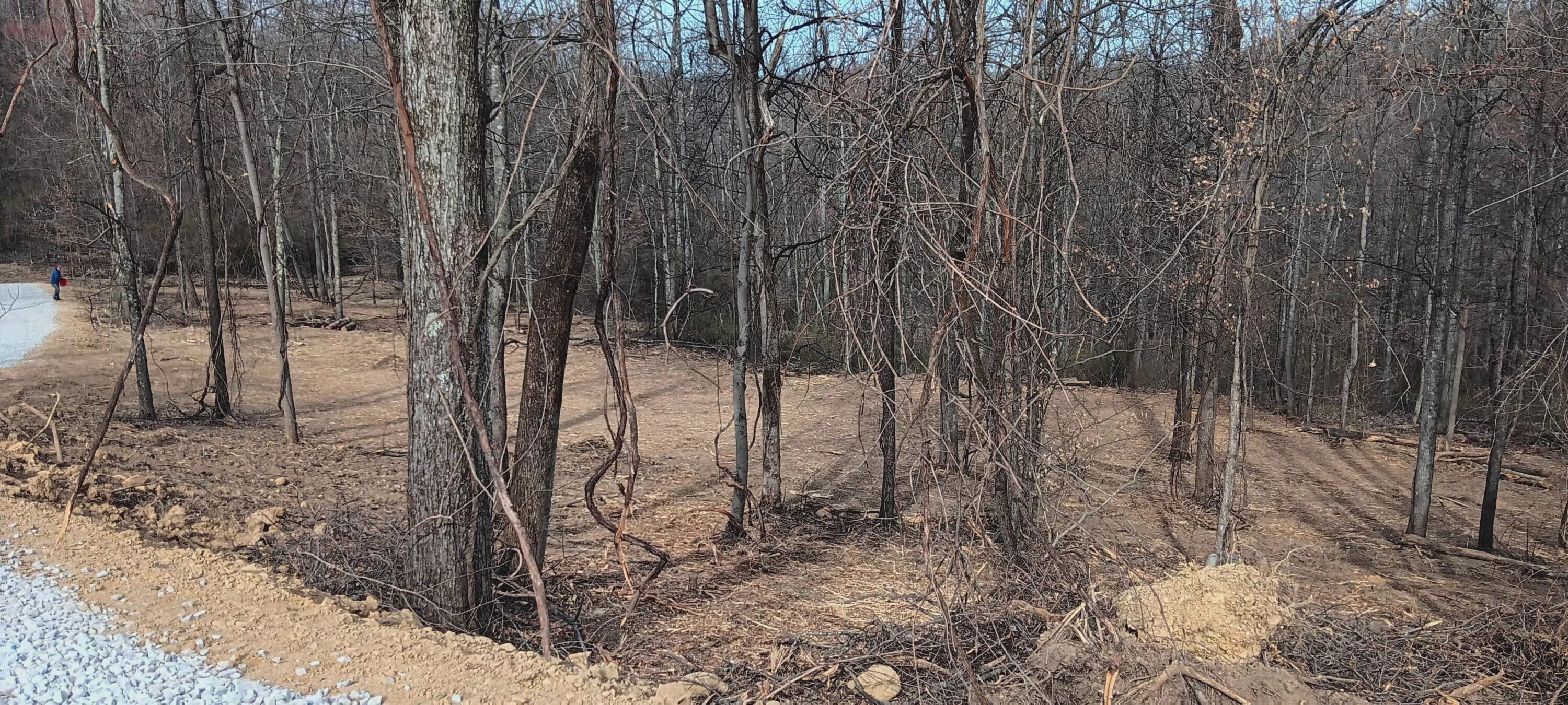 24 Garland Creek Road #CROWN WILDLIFE TRACT 1, Crown City, Ohio image 32