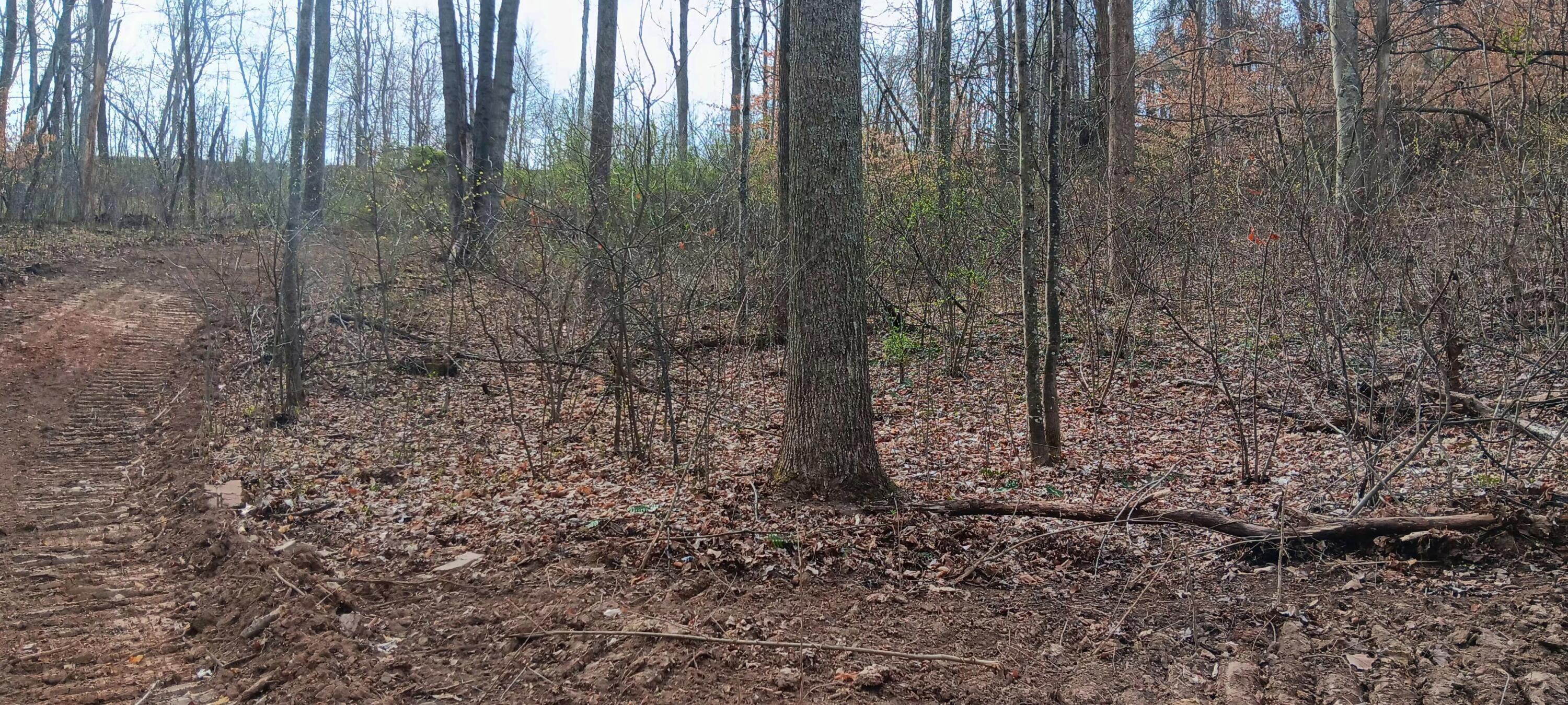24 Garland Creek Road #CROWN WILDLIFE TRACT 1, Crown City, Ohio image 17