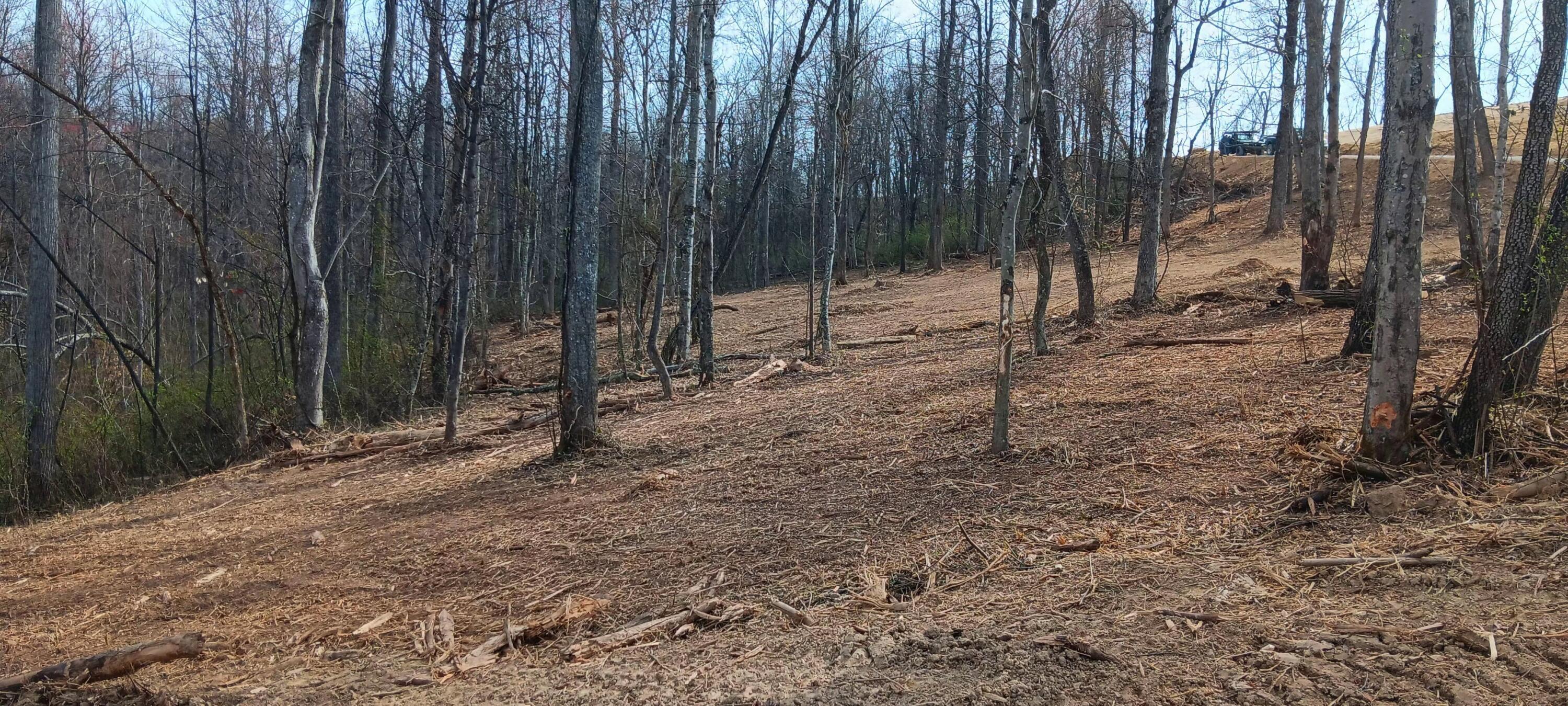 24 Garland Creek Road #CROWN WILDLIFE TRACT 1, Crown City, Ohio image 12
