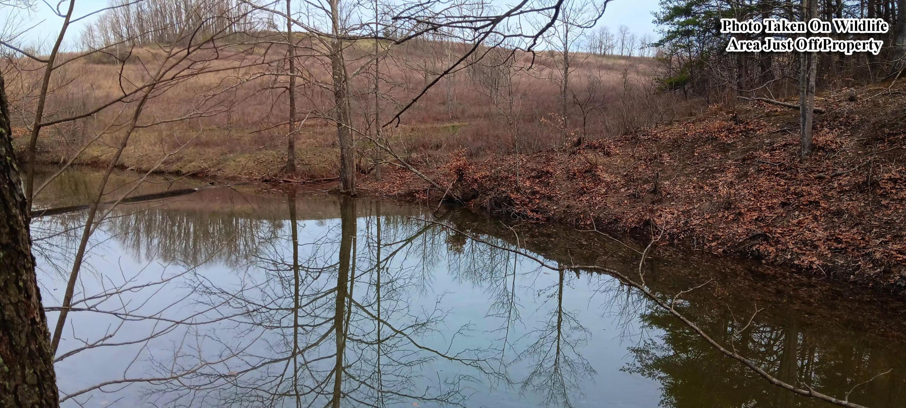 24 Garland Creek Road #CROWN WILDLIFE TRACT 1, Crown City, Ohio image 4