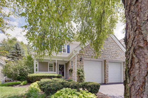 Photo of 348 Buck Run Trail, Westerville, OH 43082 (MLS # 225040273)